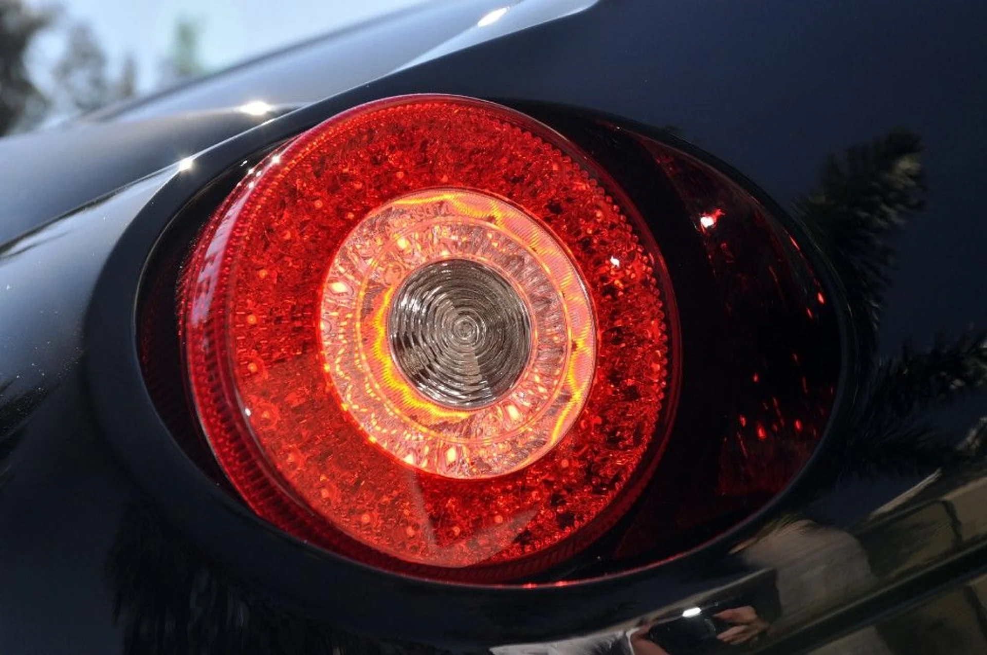 mph038_2583270264_82_p39_l_3e9c62883d