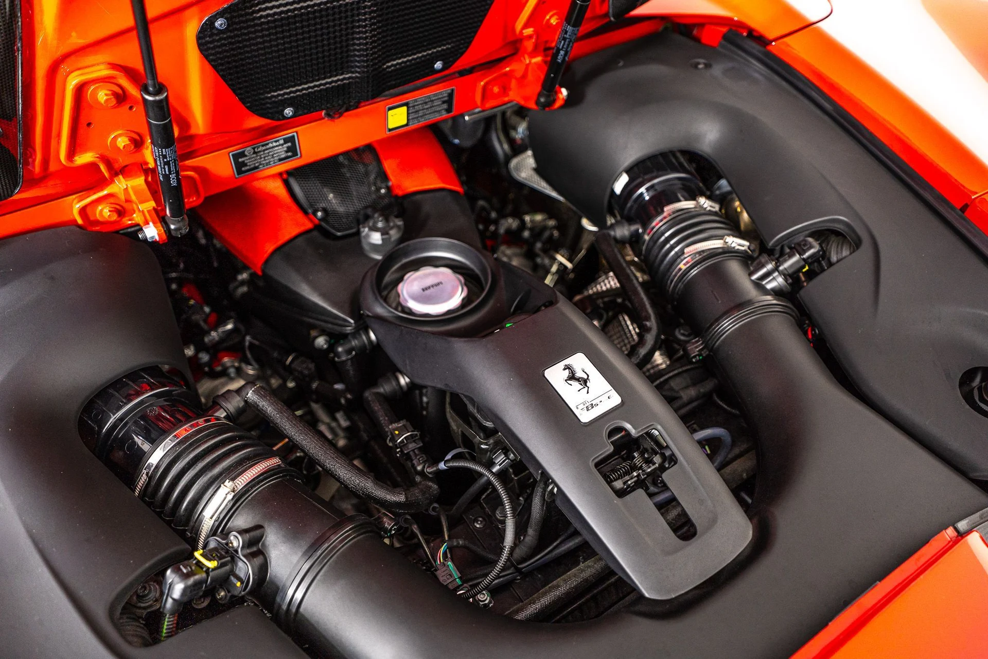 mph038_2836958537_bbf835b4_258f_4d33_9f89_88fa3ac9d145_b25c7cf2b0