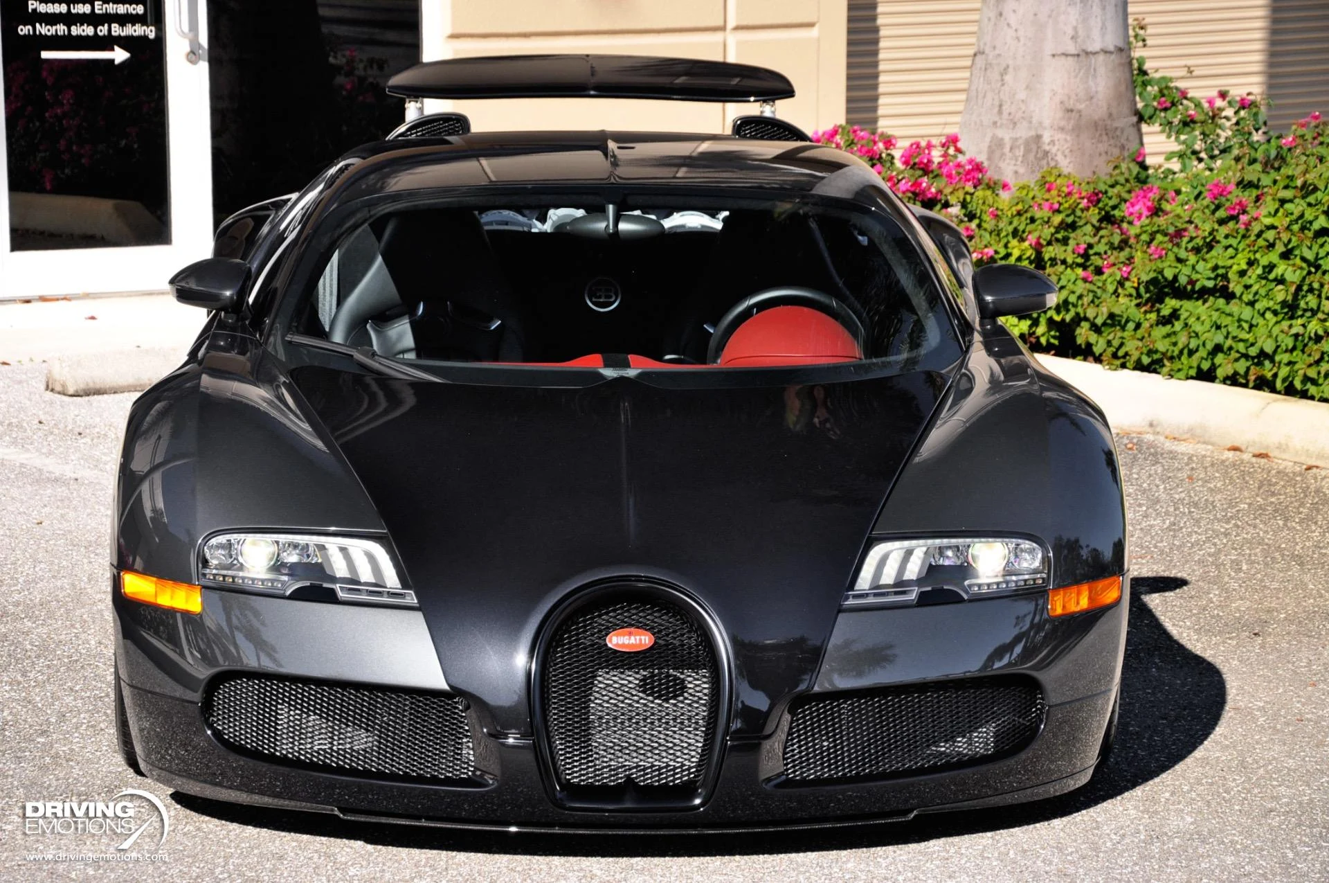 mph038_2953432343_479_p39_l_0db7804445