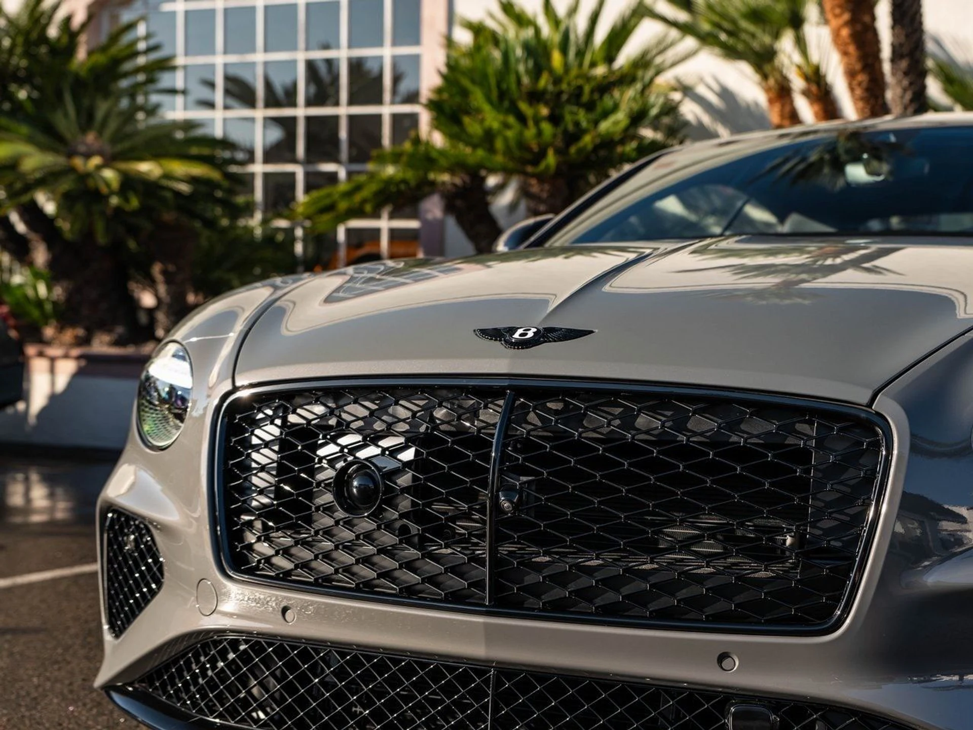 mph038_3073681617_ddbd35264e4c7ce0e56b065221b7712fx_94d1d3fe0b