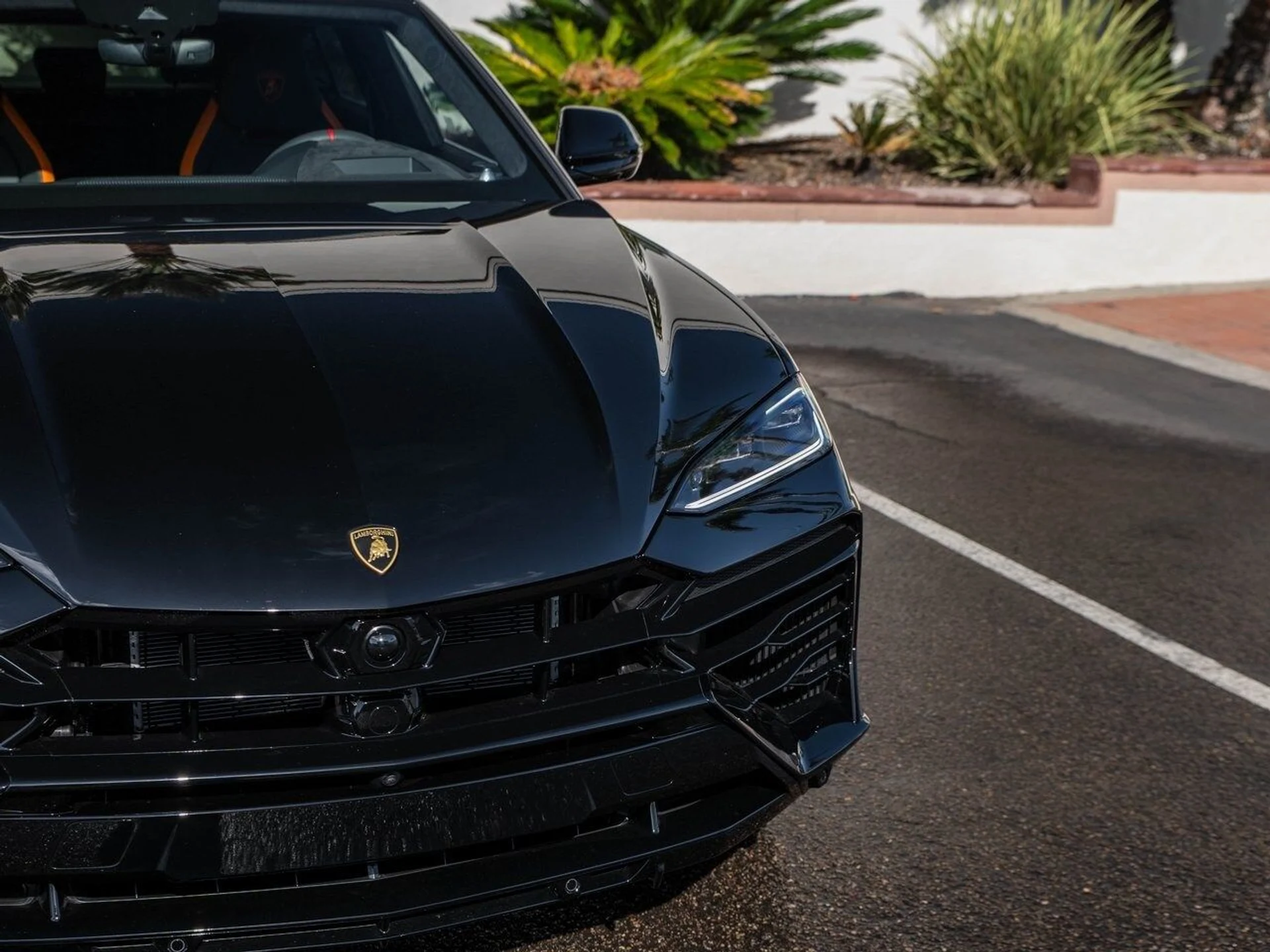 mph038_3105298565_9215c510837bc9d7d6fe9f95b36c09dex_f09d041d90