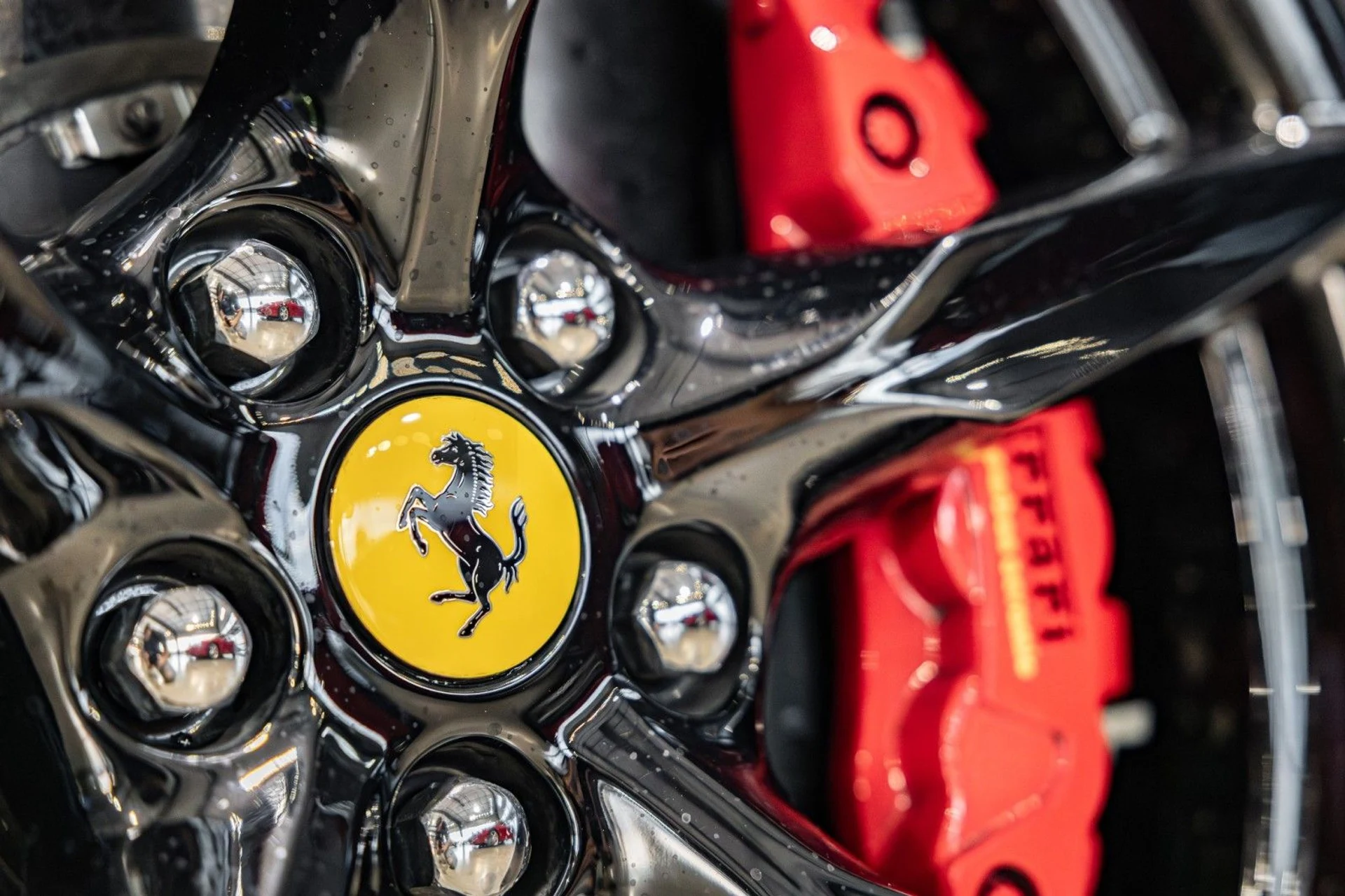 mph038_3188114538_Fw_21e9840f8b