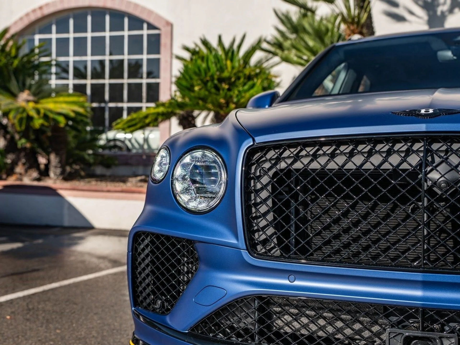 mph038_3288020287_7d97fbf149e6d378cc9c995bcb42ebf2x_fc24927d76