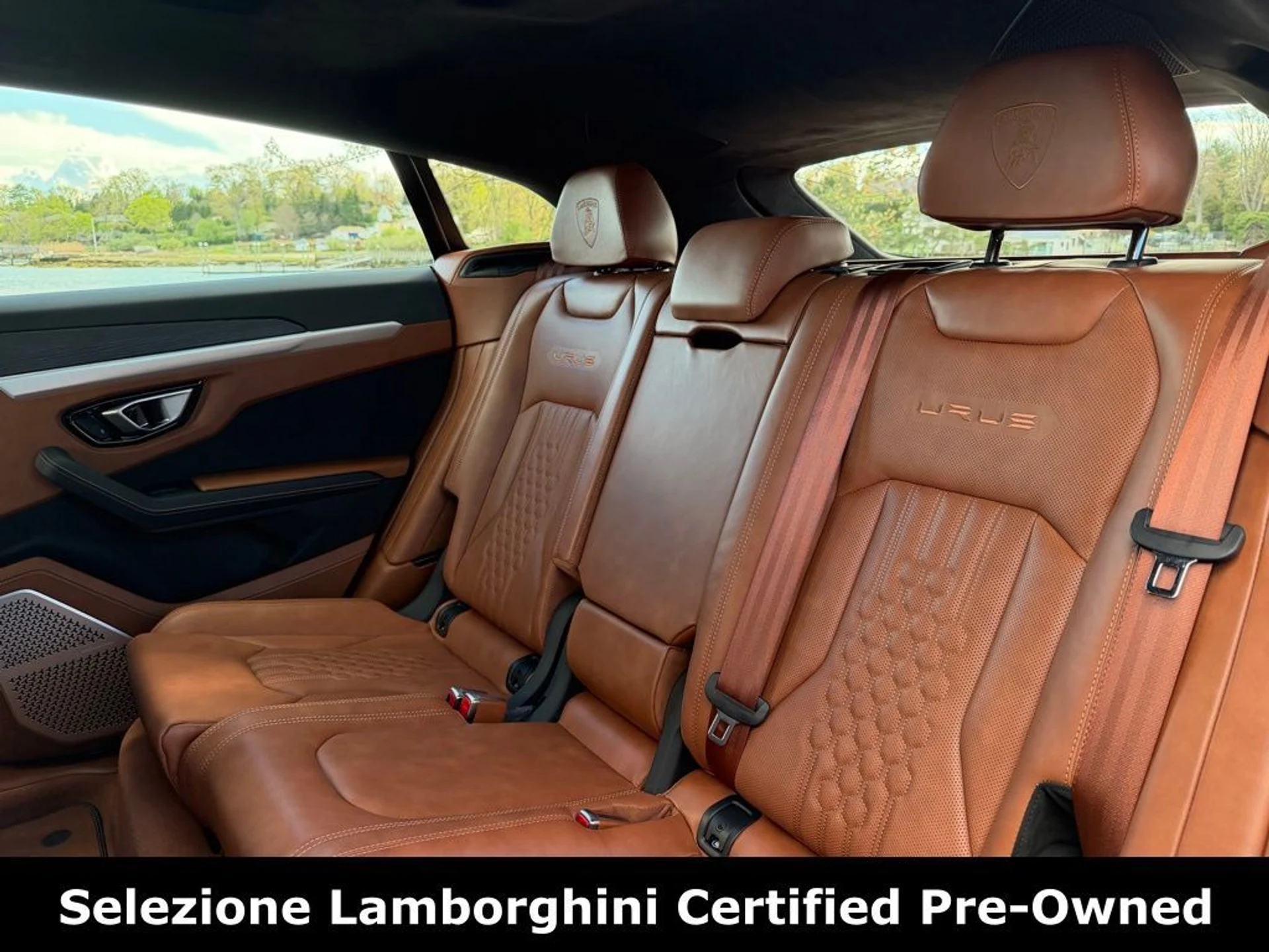 mph038_3471768840_0e624d8479d650dcda96458123ad3fbbx_6c1f47ef87