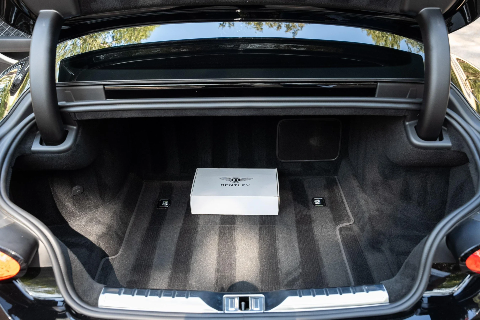 mph038_3527010794_378641171_6735e6347f23428a7cb55bf9_8fe8939026