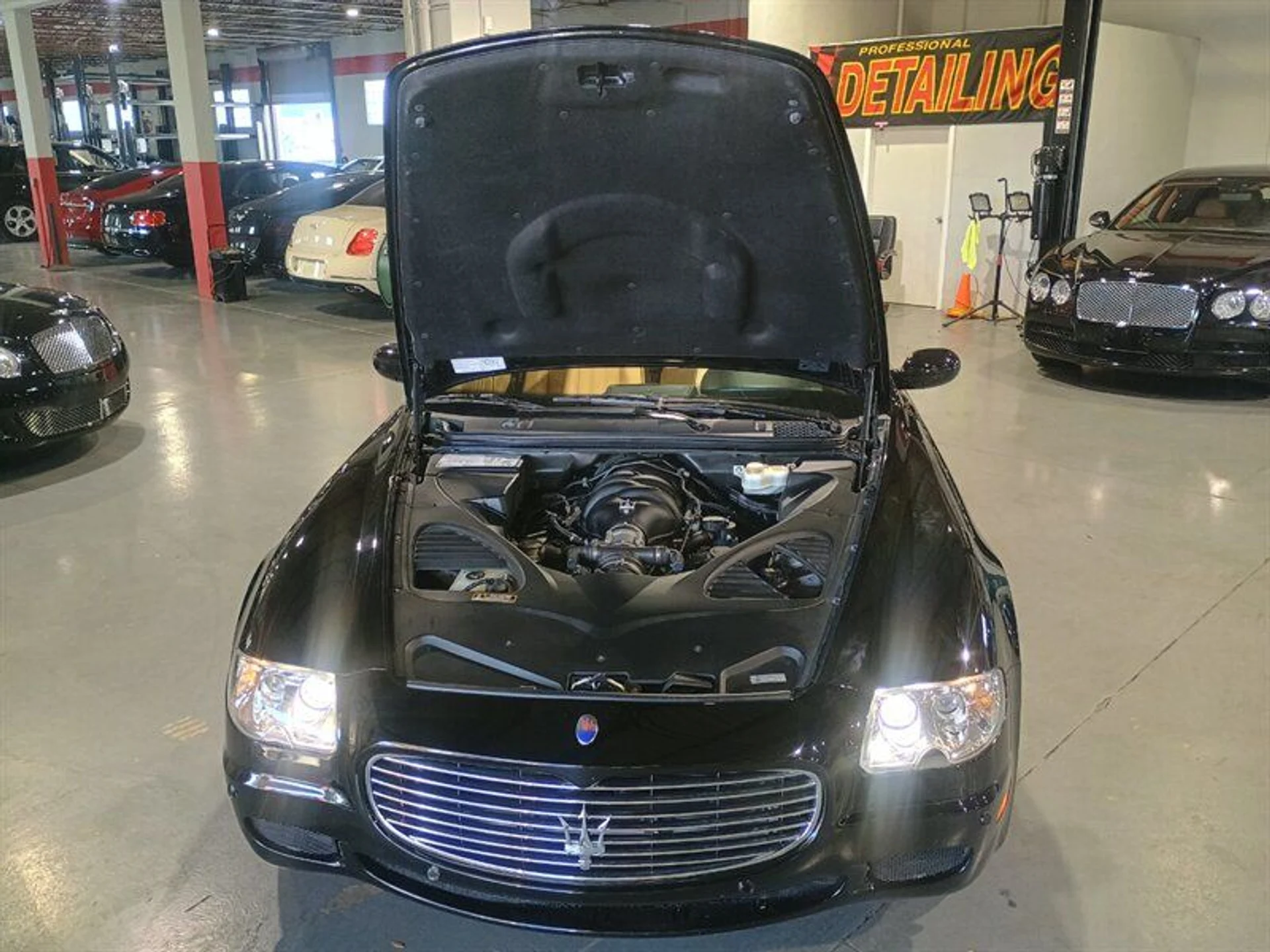 mph038_3538388487_bd238d6502_800_8754183751