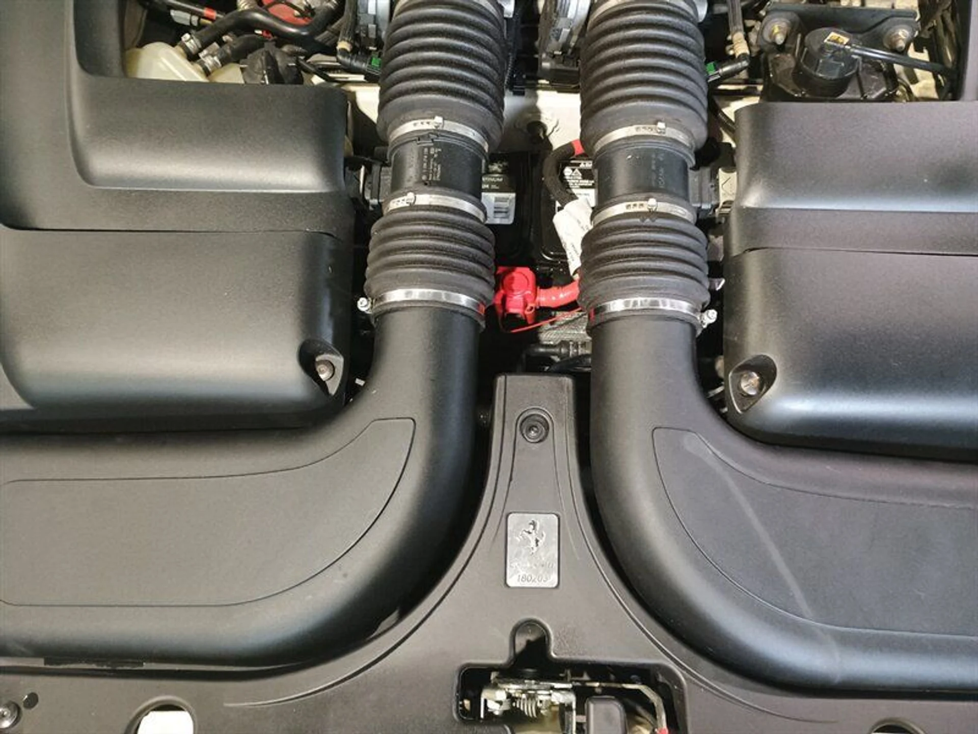 mph038_365912908_55208242c4_800_2d9764677e