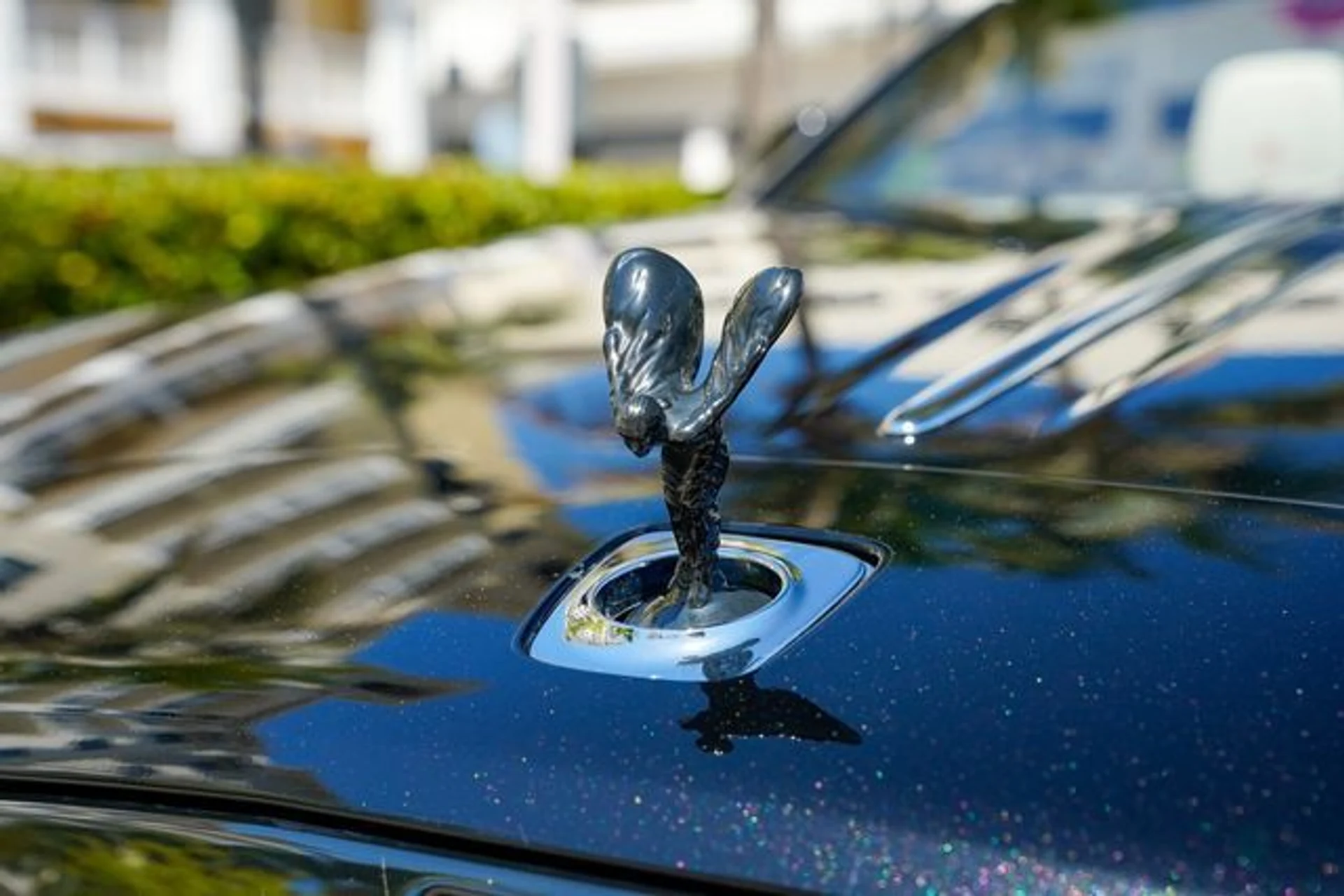 mph038_3700979252_23014492_39_a44c9506bb