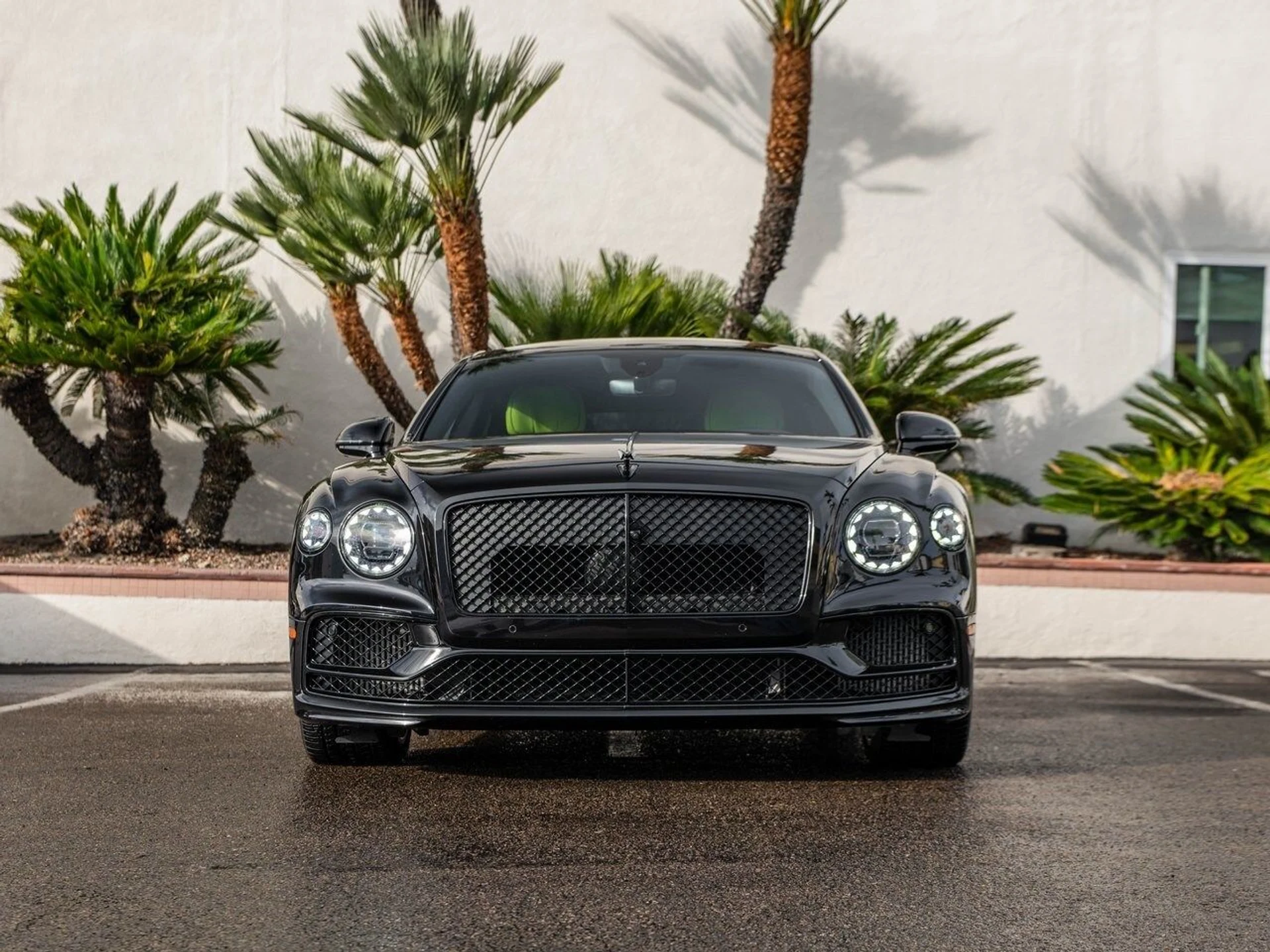 mph038_3807328253_06e2fc9f9cfb79b4ba87edfc39926321x_17474a9ce6