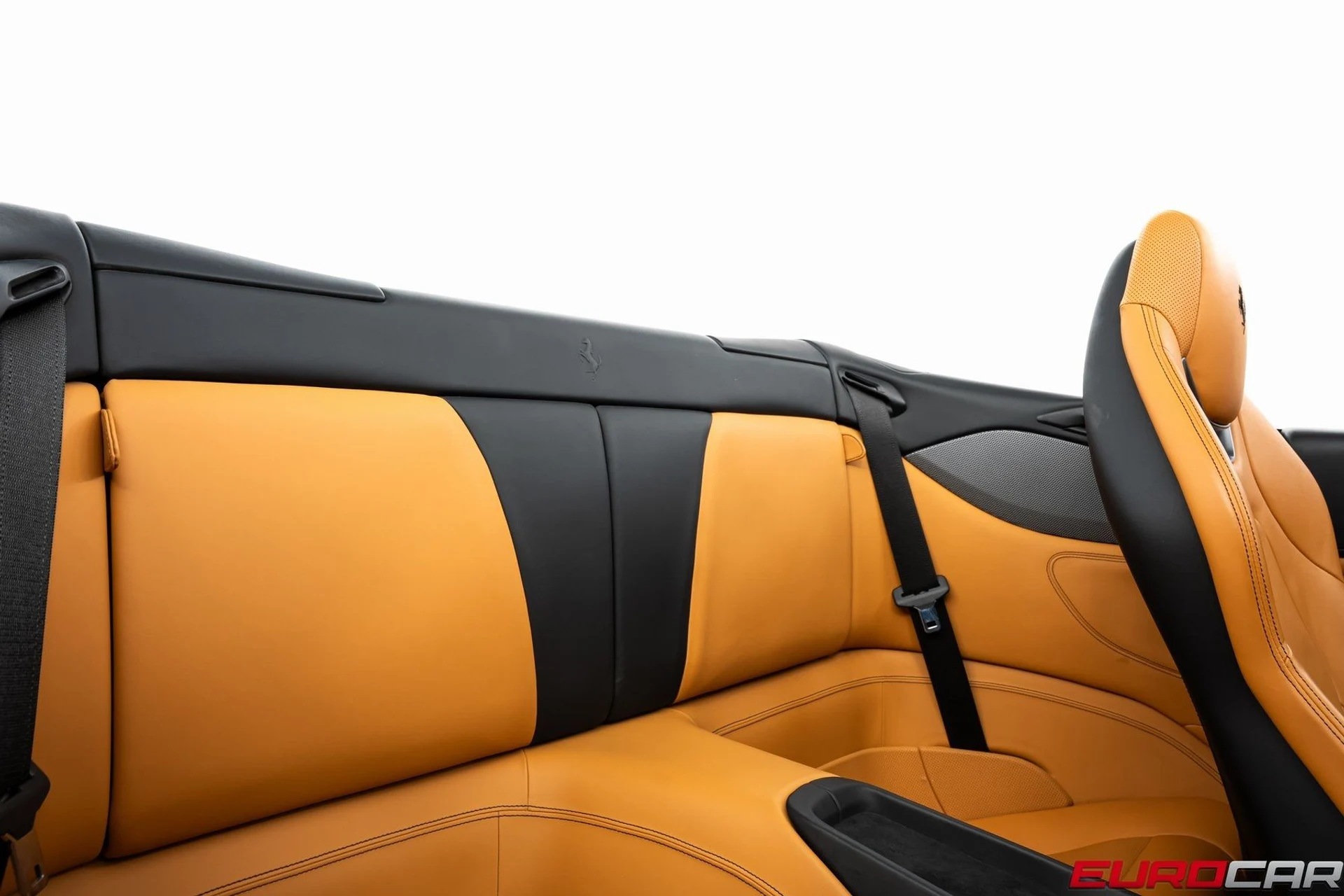 mph038_4138680765_image_39_10c6760ac1