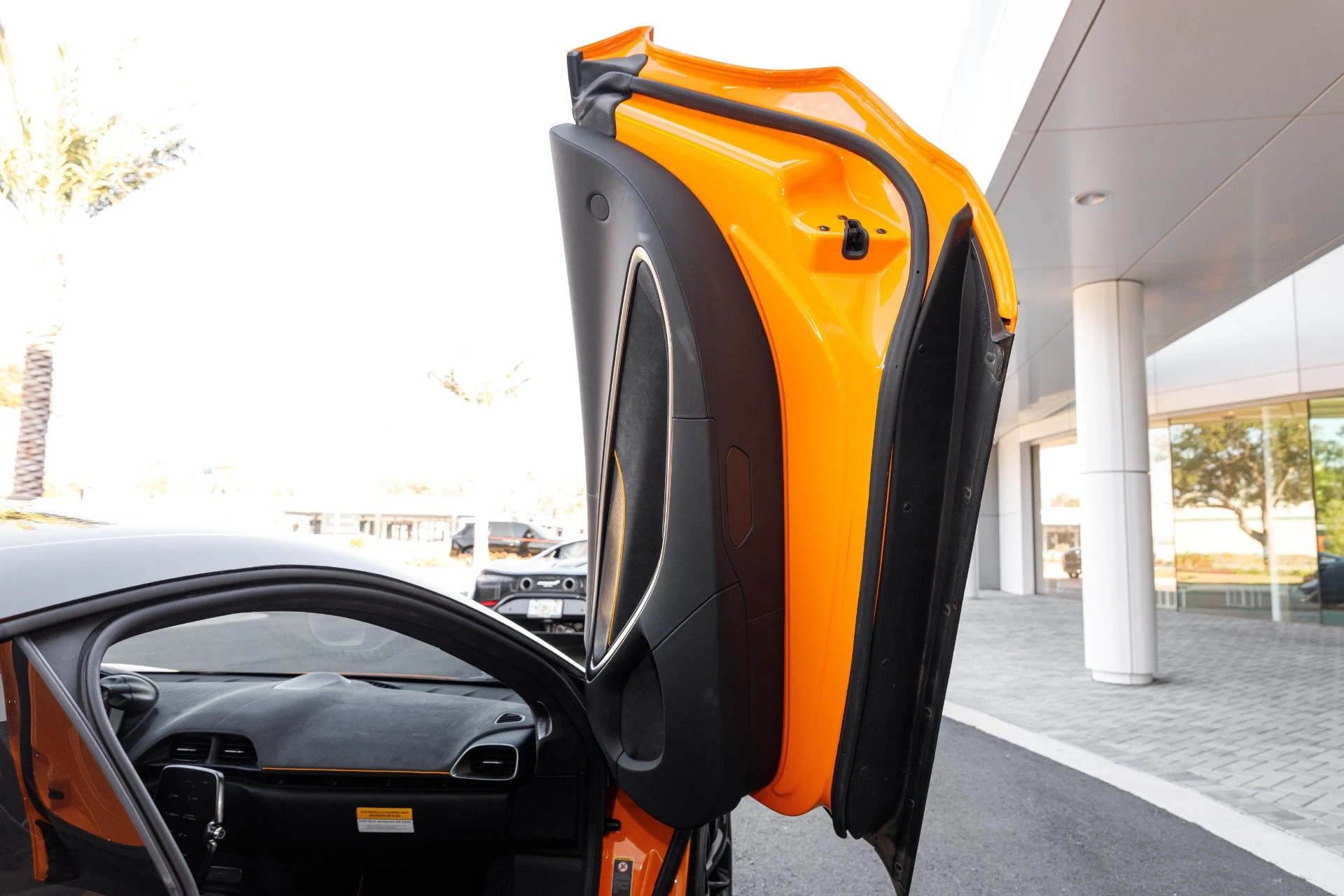 mph038_502889531_653_p39_l_894c46e50b