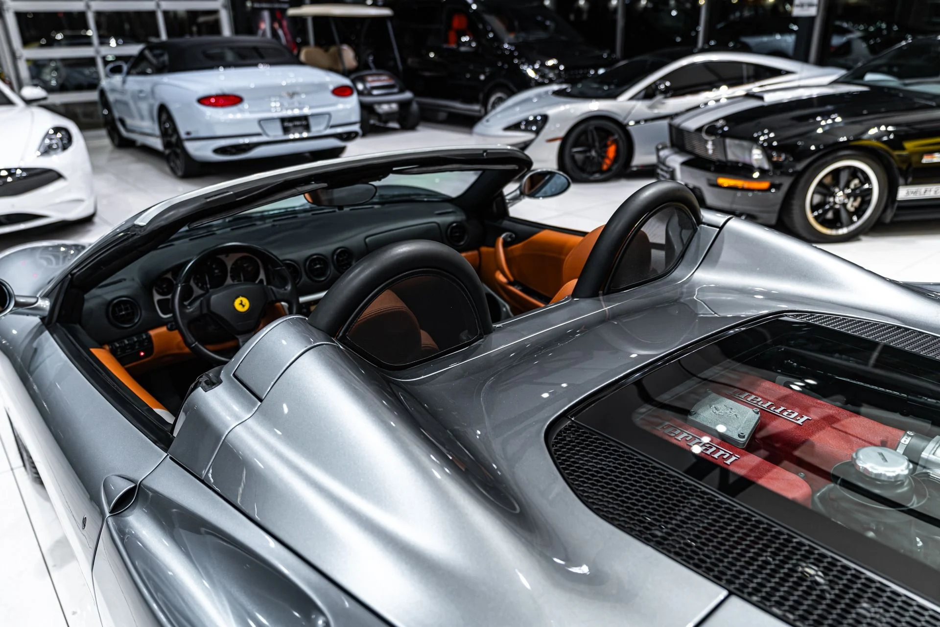 mph038_515450543_13123_p39_l_8f4bce9186