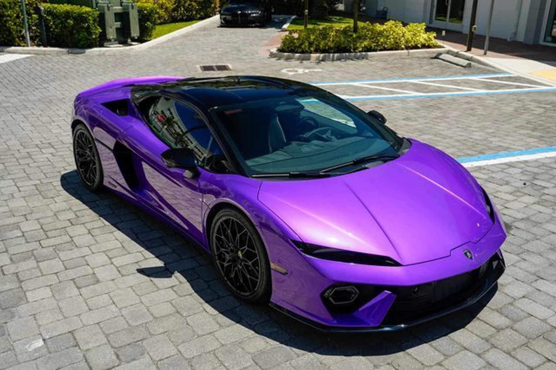 mph038_625670858_23014494_39_8b138f4870