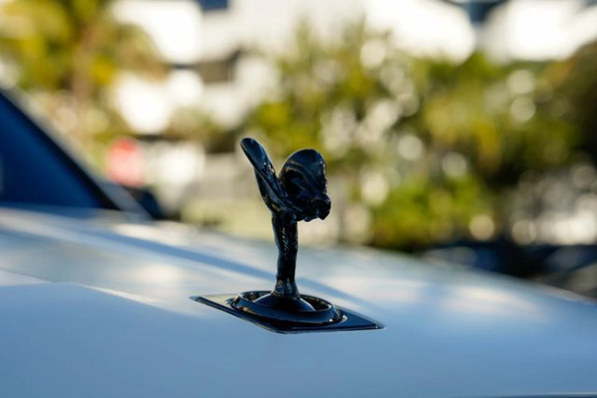 mph038_689034642_22981379_39_640_0683d10471