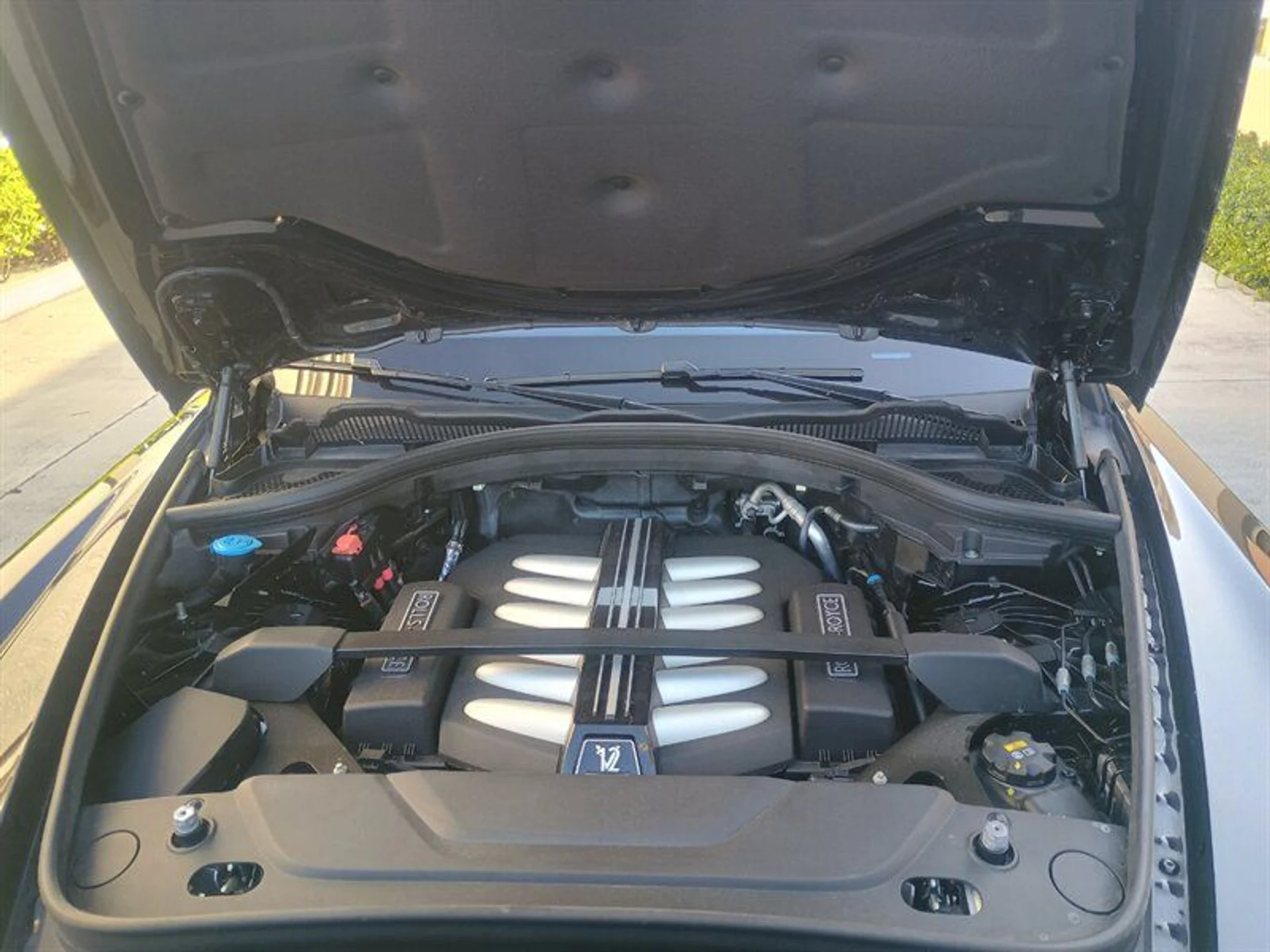 mph038_81522217_b72a9d3772_800_b5ea9d4126