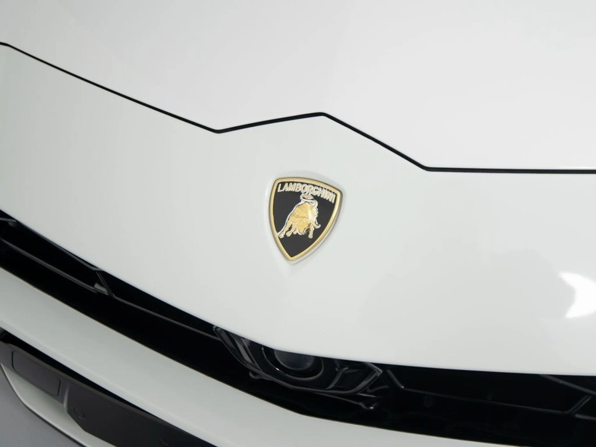 mph038_879290111_1067ce4f324b566da267fb901eec430cx_78dcbda541