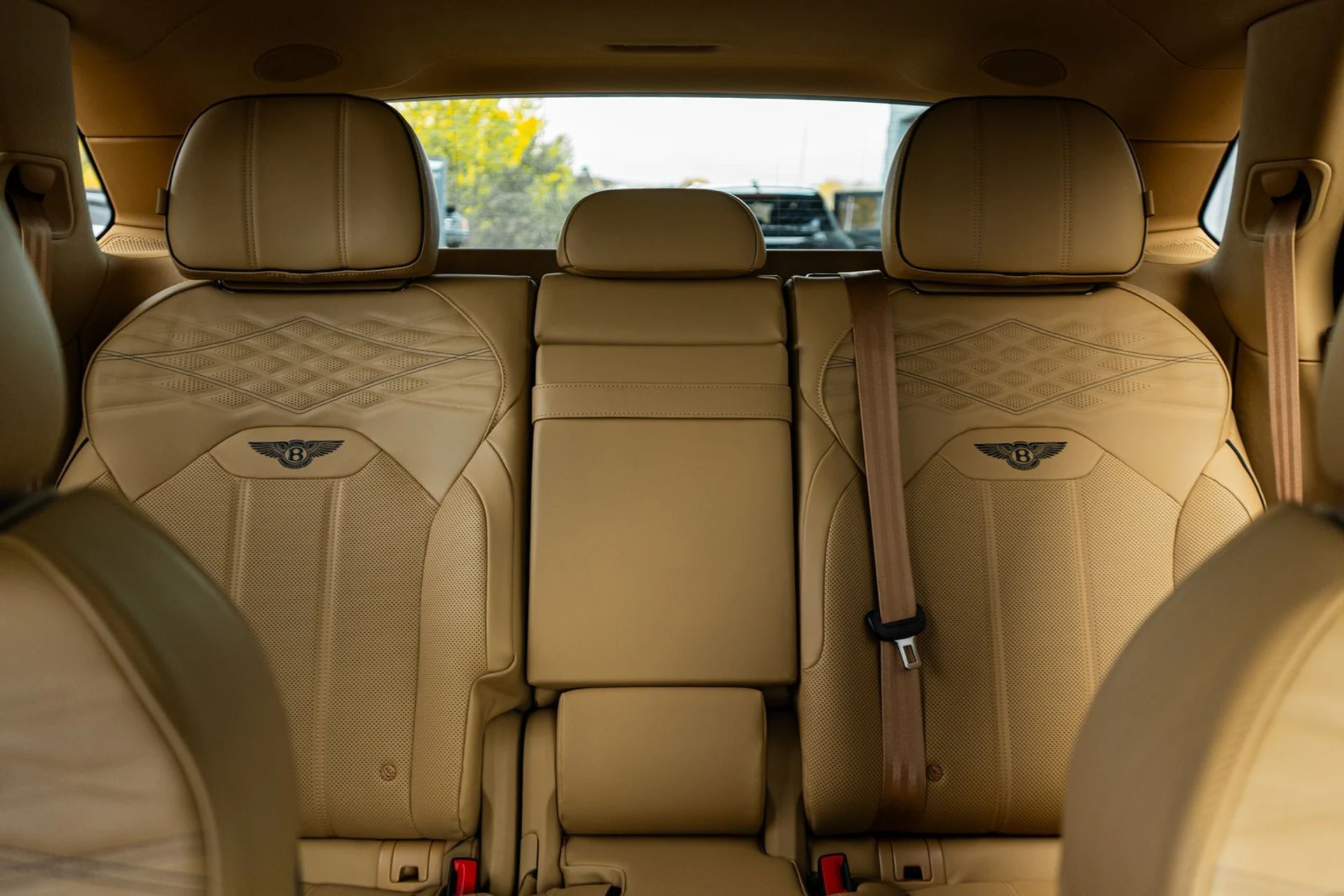 mph039_1071575246_d07d03b9_80f1_4fcf_a420_ac02932e8da1_8842215160