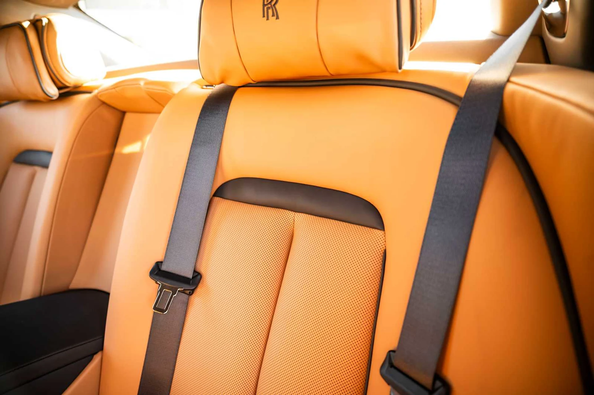 mph039_1134805313_814d9510c9c19f7135574479aaeeee14x_b0f8a1bdb0