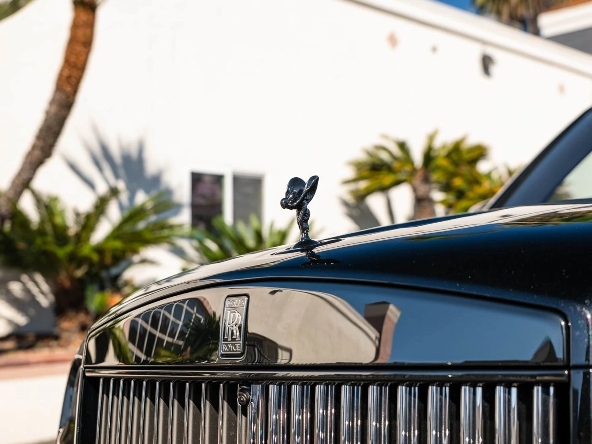 mph039_1153322640_664d28e2cea87820b4d228cd419a9e10x_e9a8c45fef