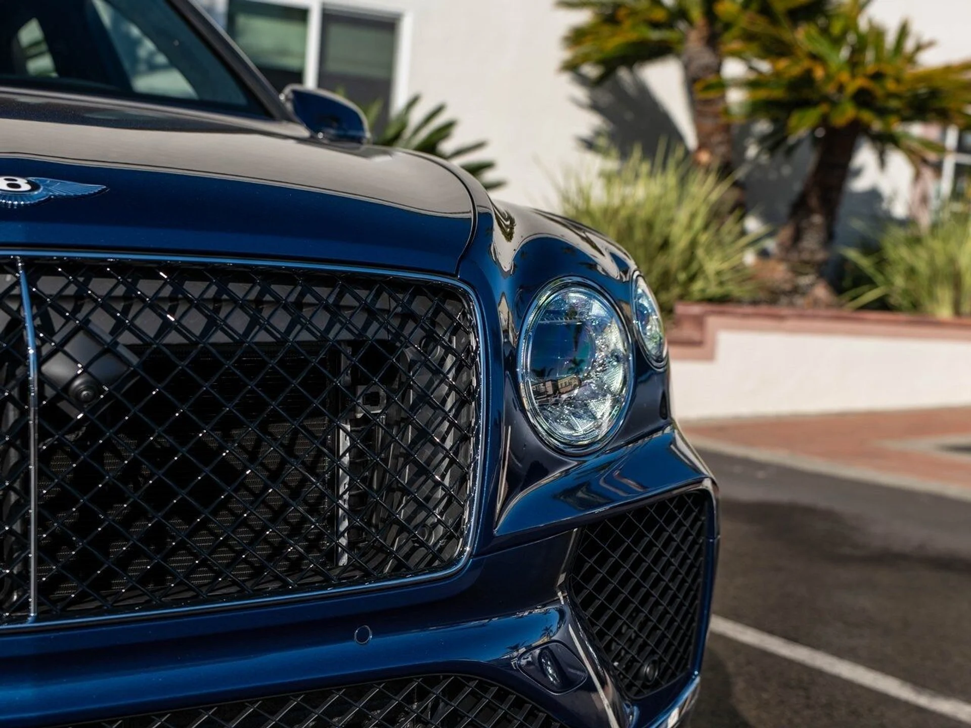 mph039_1190977457_99e74f1a8ee8670ec8224c66a9bb5c97x_6fa3d3df1b