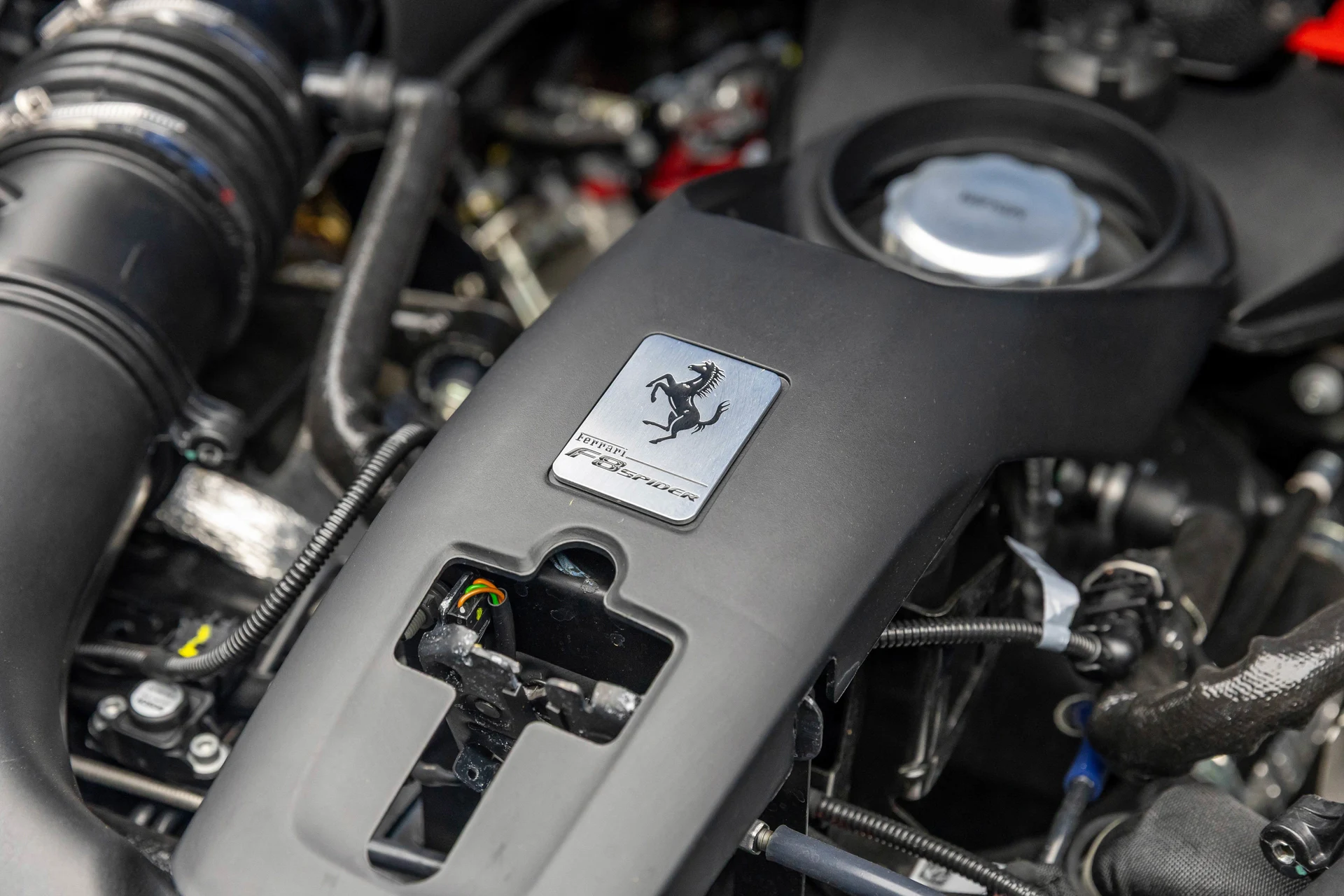 mph039_1271945614_9ed5ad44e47d41abb6c8730aa46d486e_2e6311fffb