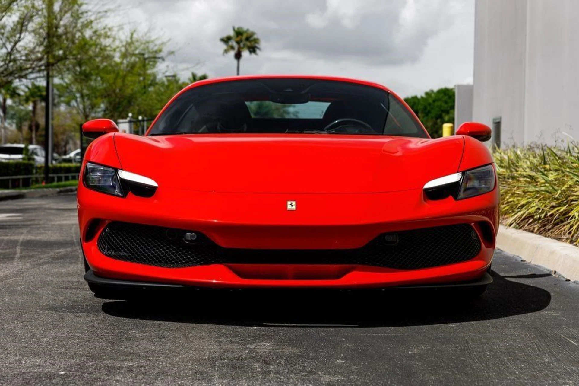 mph039_1484369560_b26073ac1f83213991f049a56ae3c172_8d442a5996