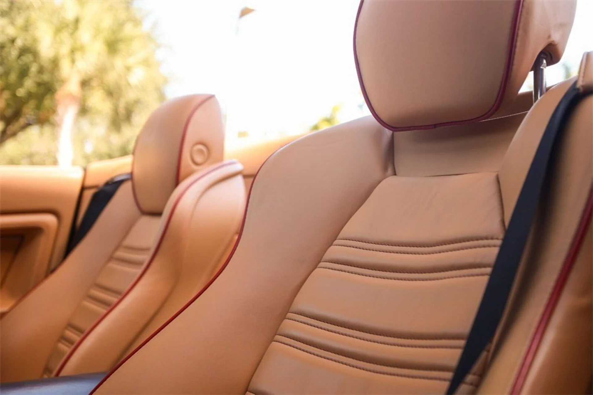 mph039_221228990_b0397c2c95cc63de67a51d9fd0427369_ee0bf288a5