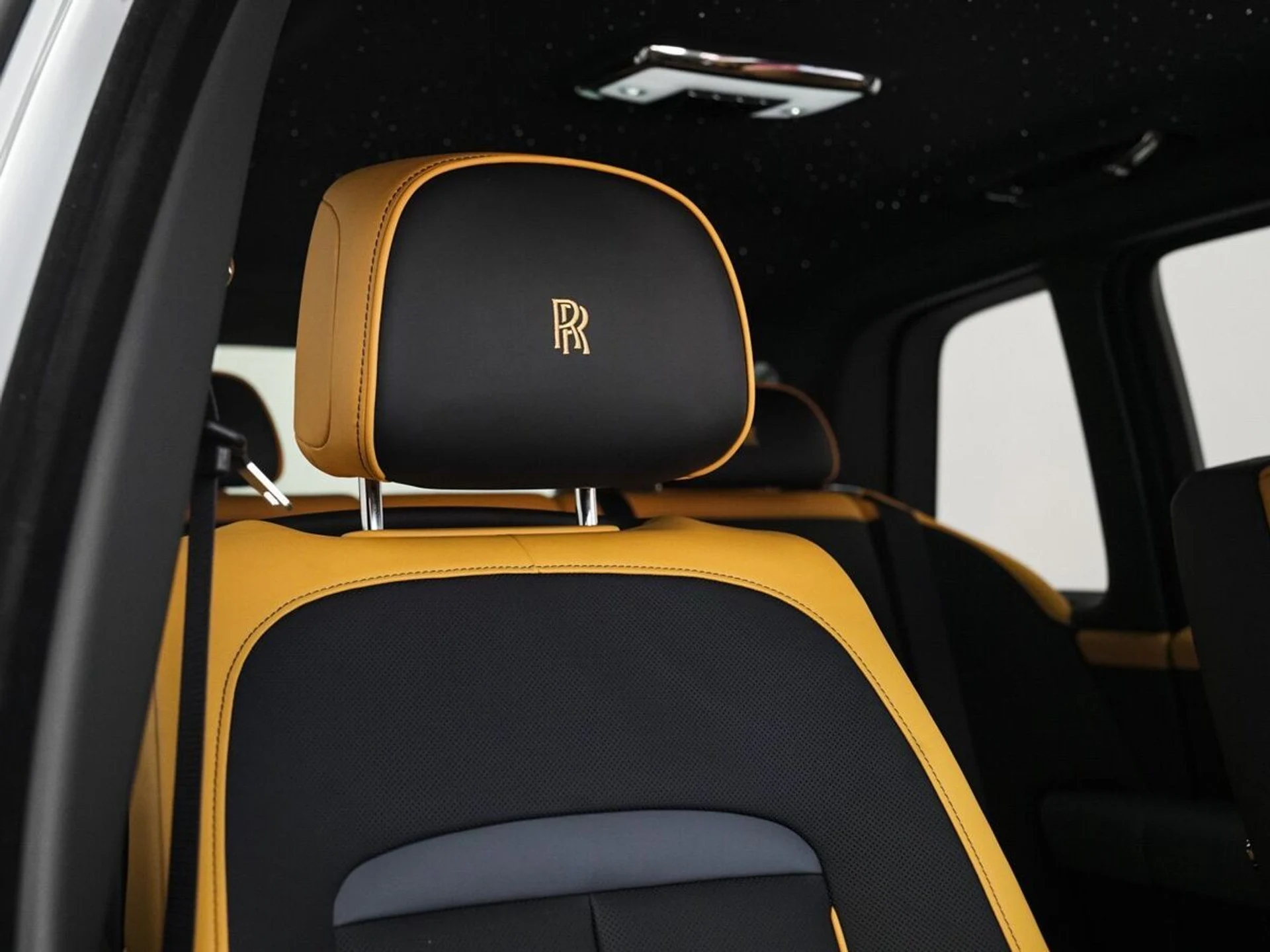 mph039_2332743603_q67fgsc410b5dxr1shqtrz1xty3c_0443c514e4