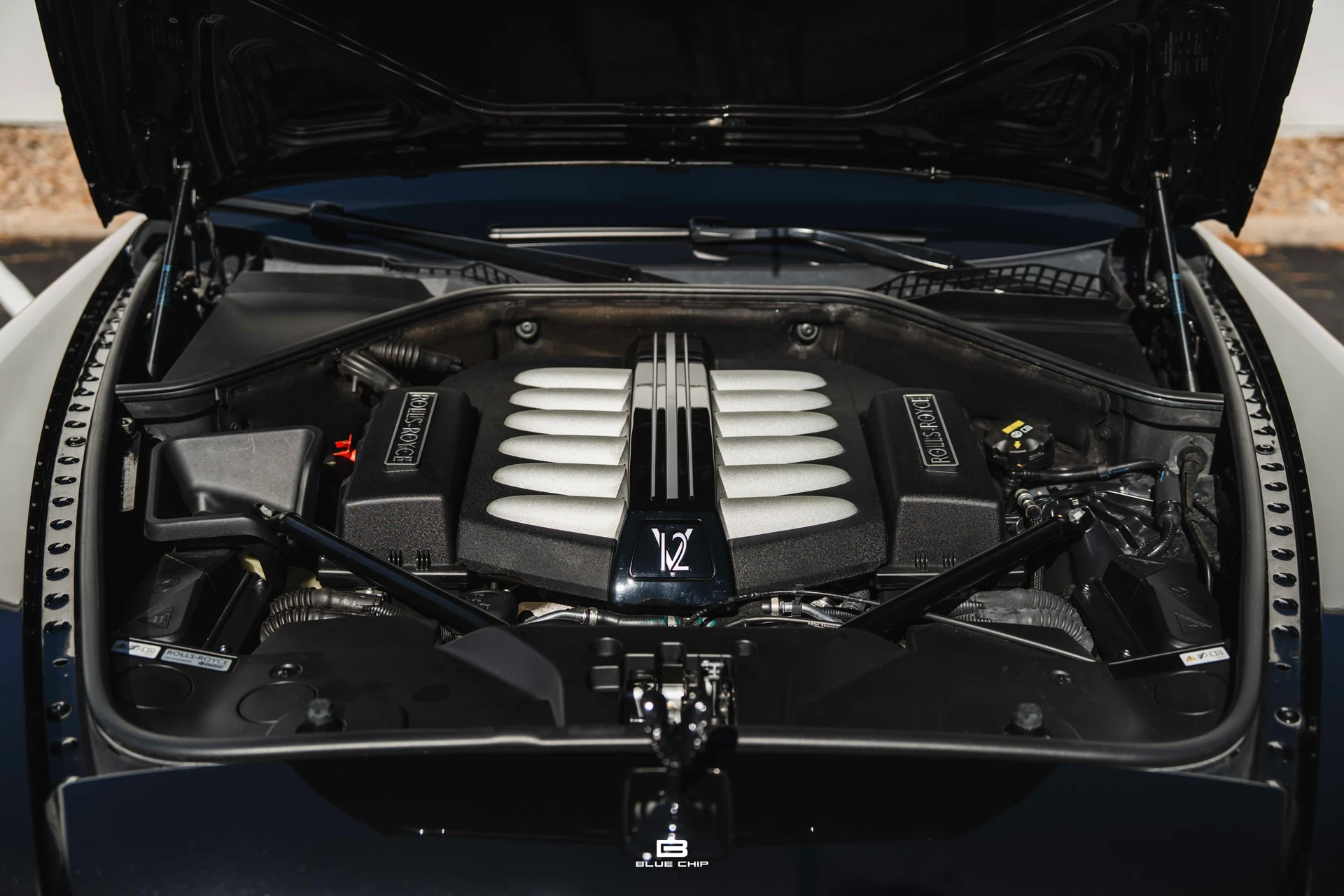 mph039_2421495556_690183ab42fcbadfd593ff2b_DSC_06894_888b294cdb