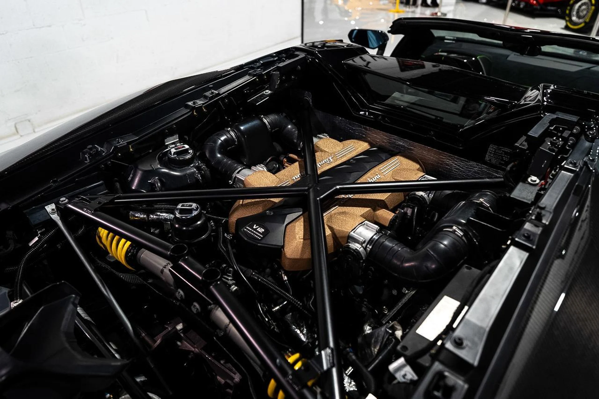 mph039_2518872841_d402c0a452e600bdf10cab59cb21f13d_0fdc068cf4