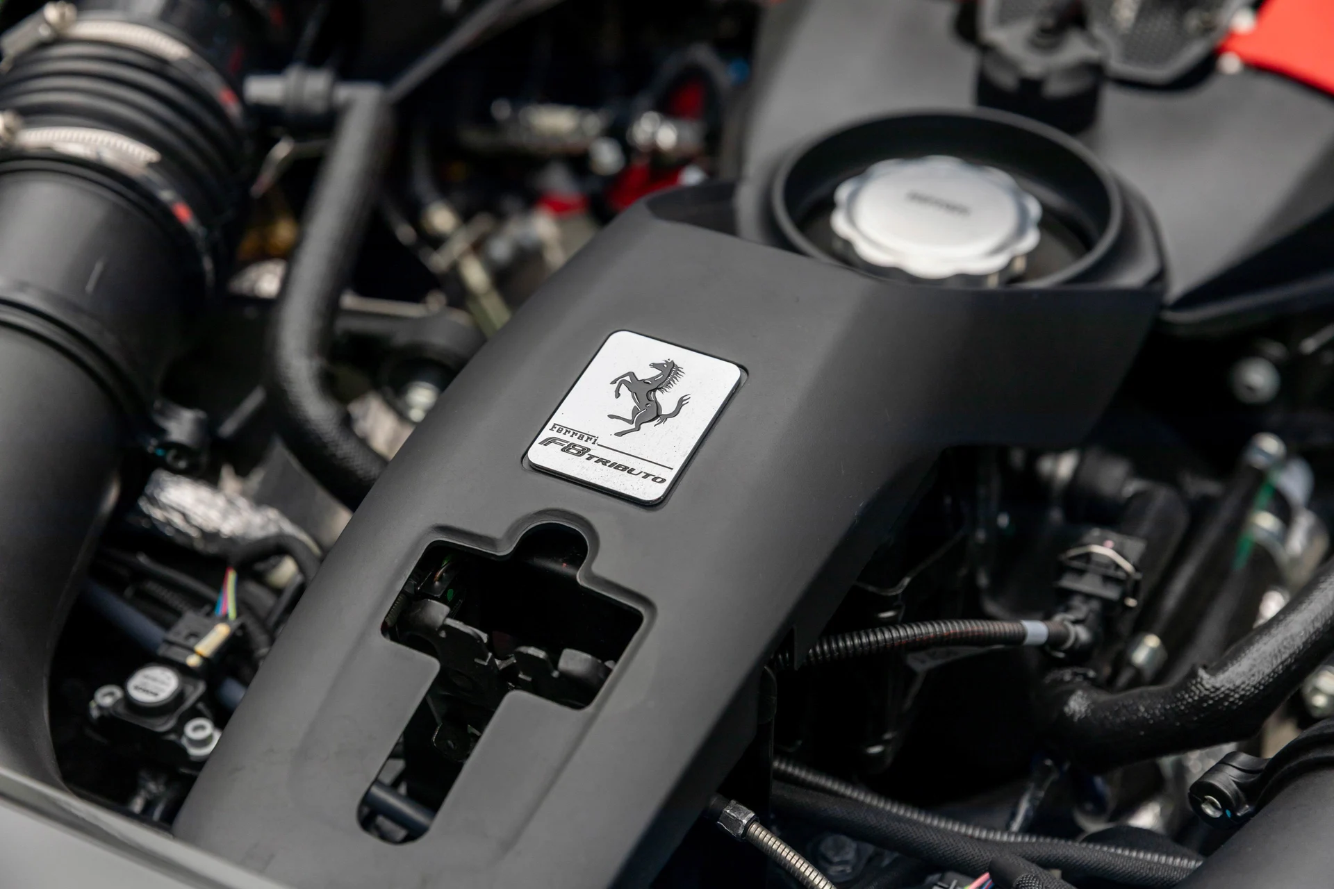 mph039_2519067369_753437e2e3f341d5a88eb611f27f2a69_8b2d39029d