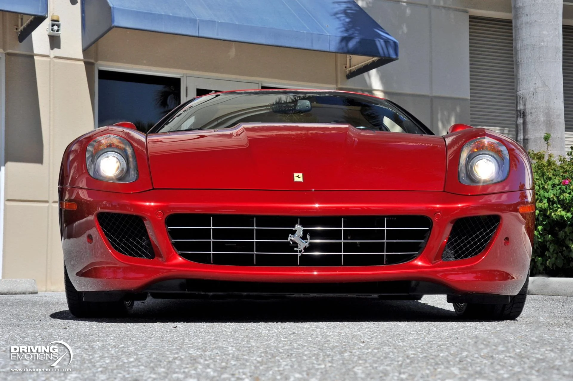 mph039_253450216_867_p40_l_da87e238a1