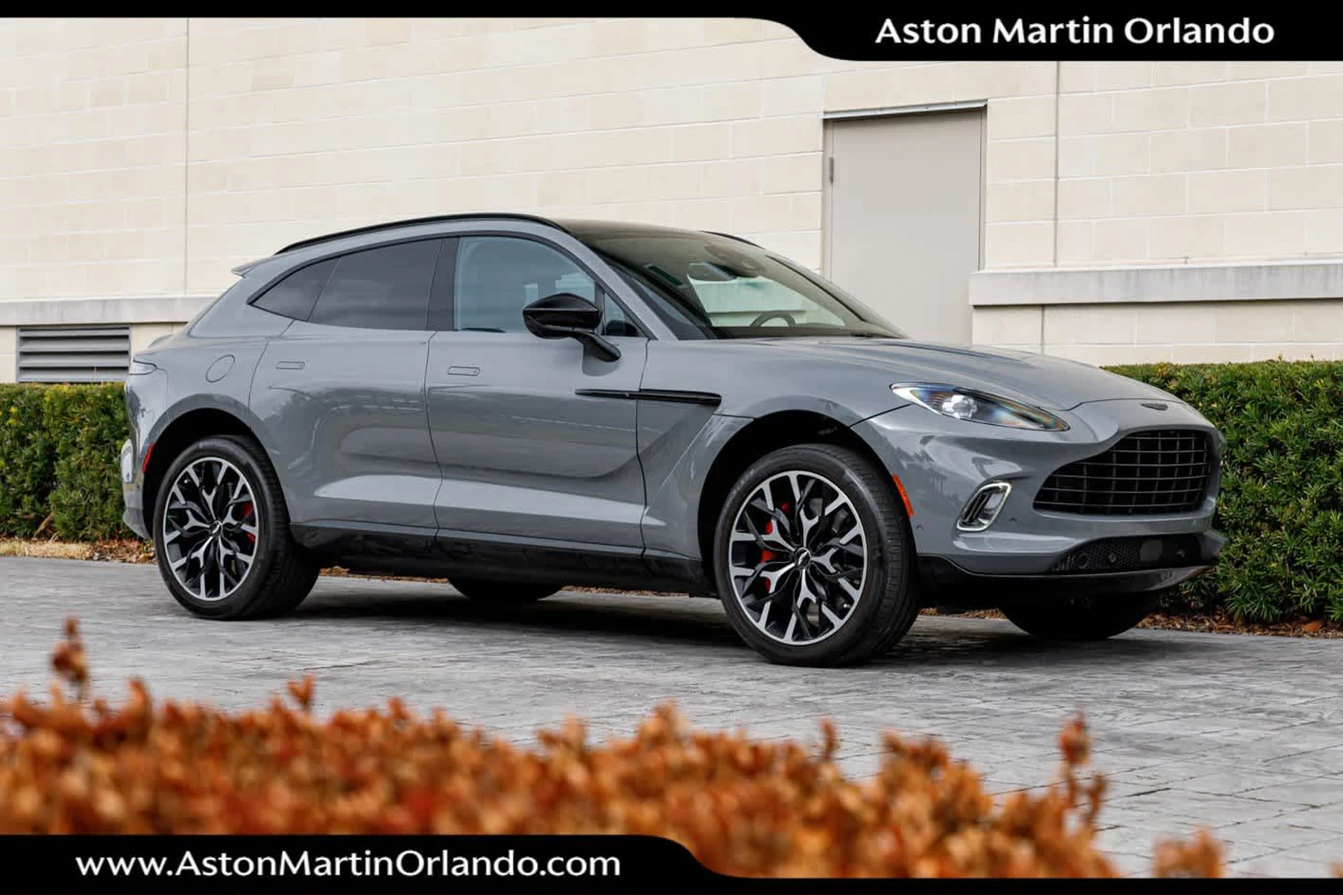 mph039_257454958_40_eaae41949d