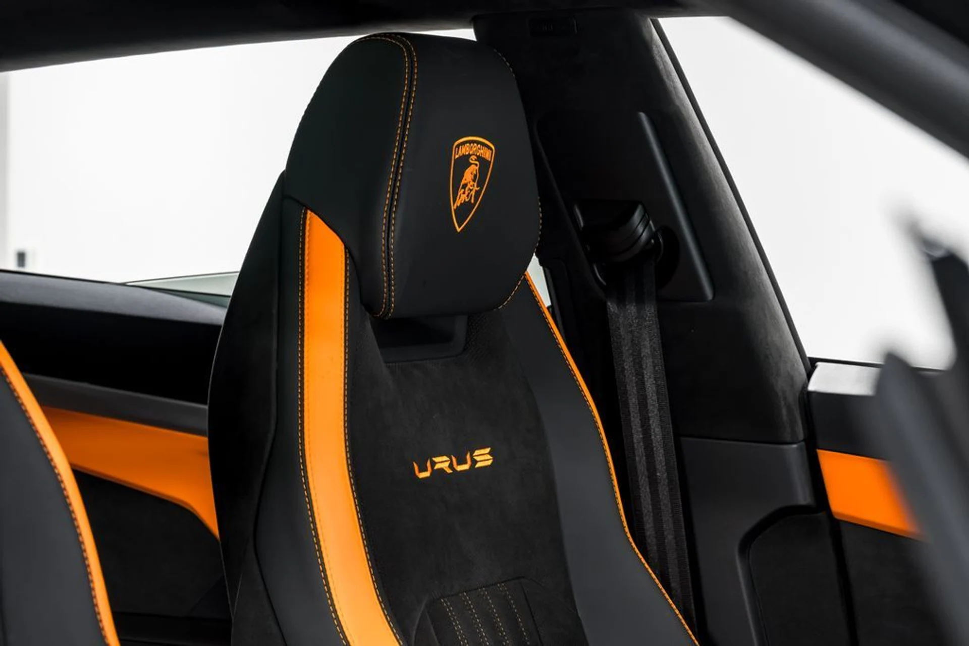 mph039_2724551247_76ce31691f6b7dd4ff0fcd52aed3c10bx_530ff923d7