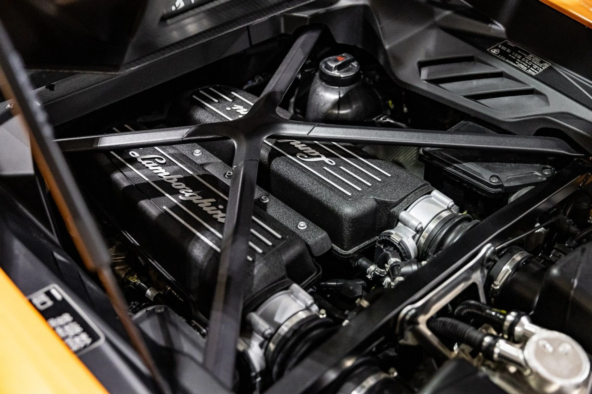 mph039_3117084010_Hg_902a19e50b