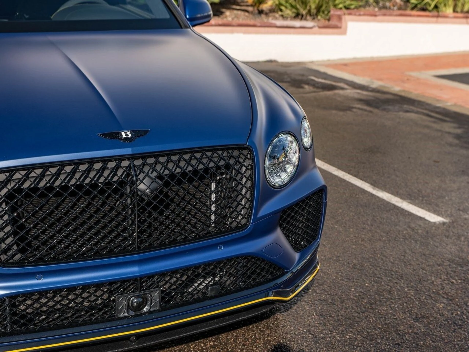 mph039_3236828899_1b0aa3602fa0e01f7c19dc4631800a51x_b02aa903e6