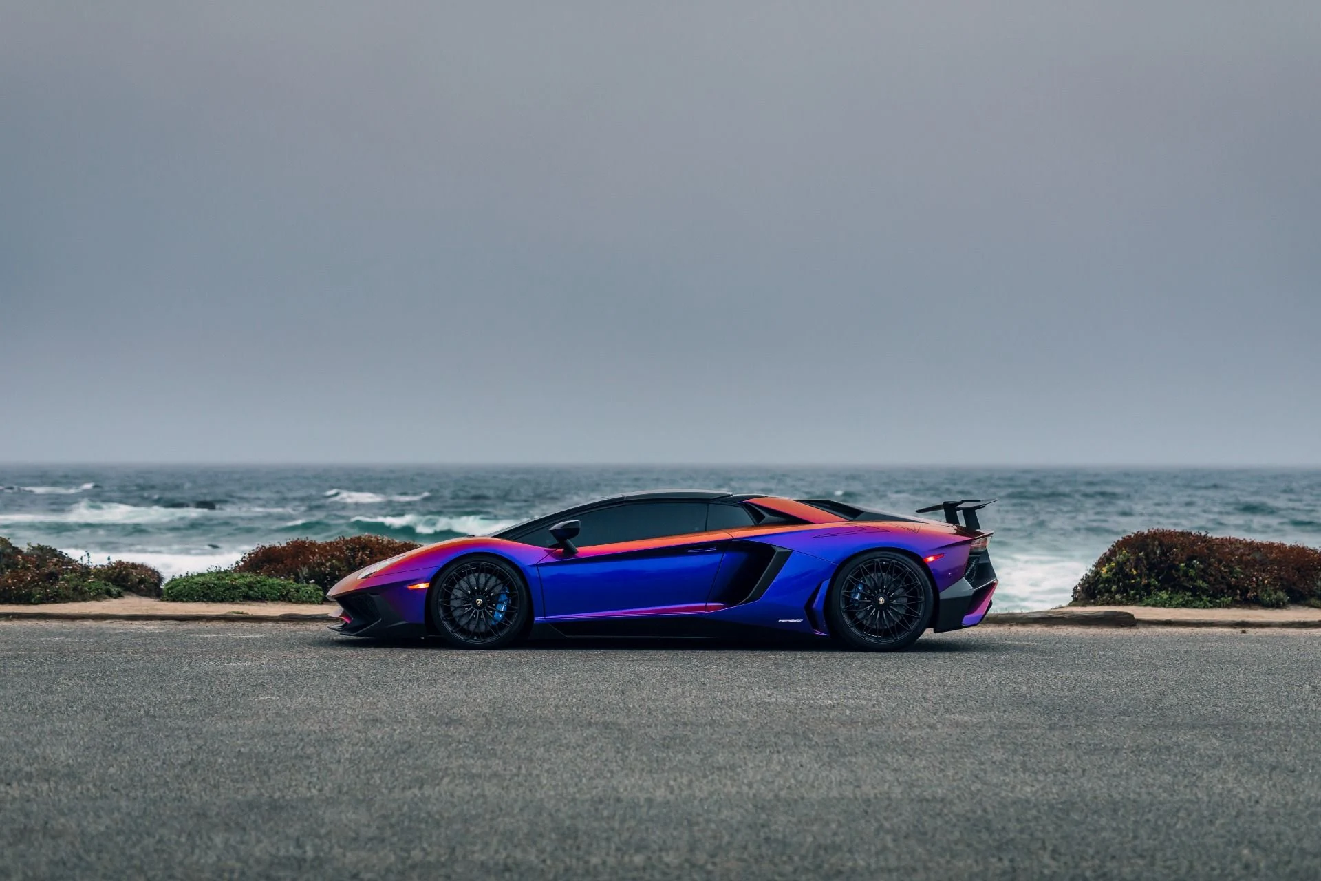 mph039_3384963420_8742_p40_l_e646c7d0e7