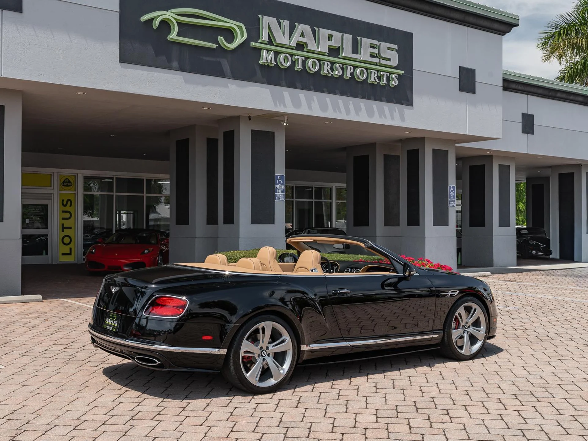 mph039_3391489497_Used_2016_Bentley_Continental_GT_Speed_1774476157_e15fa99836