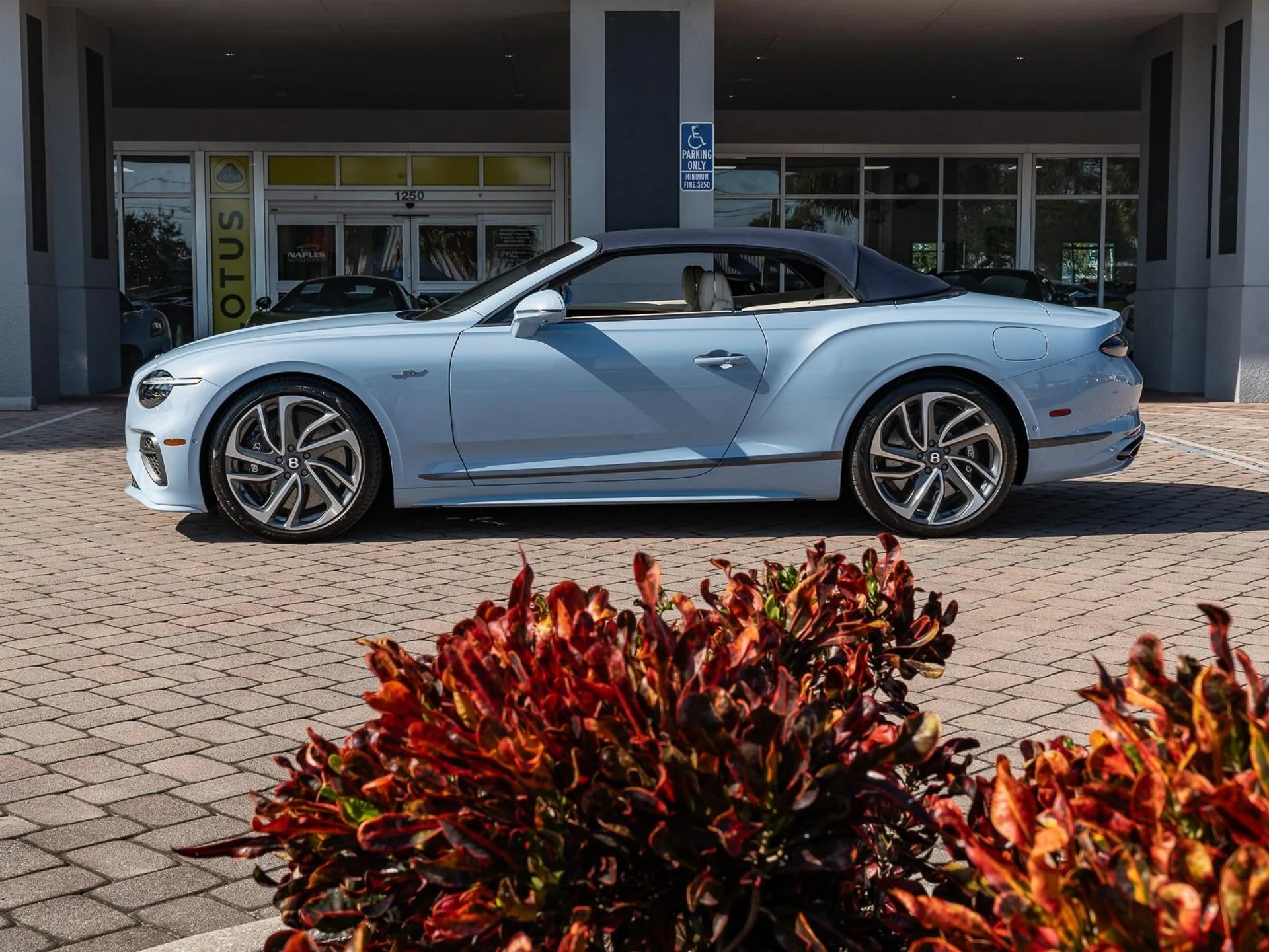 mph039_3494396582_Used_2025_Bentley_Continental_GT_Speed_1766181984_ad57dcf3e9