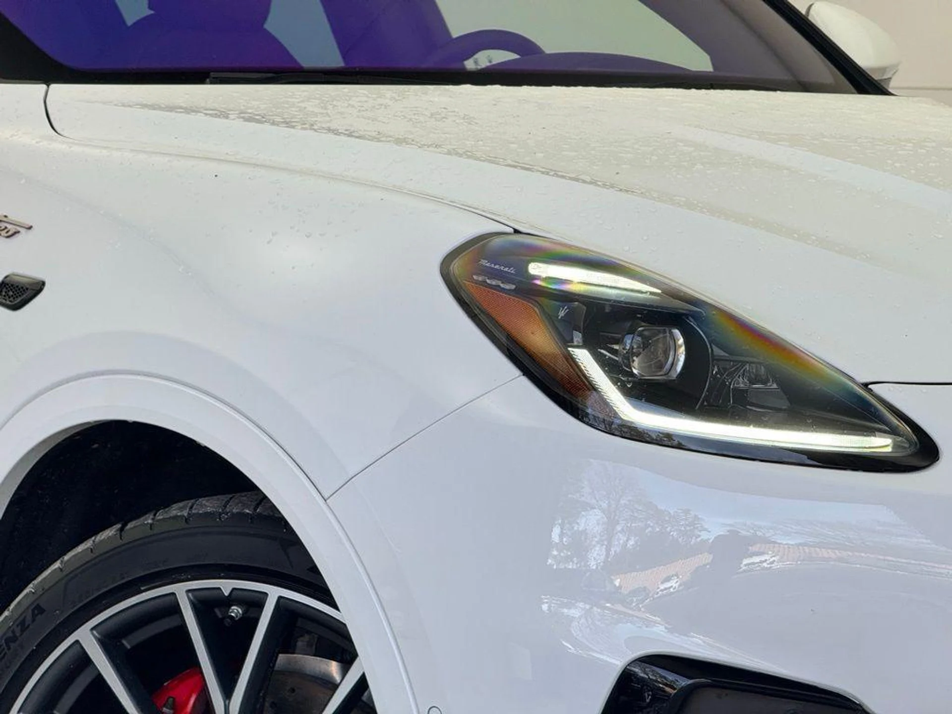 mph039_3606263616_7_P2pl_Lhwr_Tez_Lvul_I2_U0u9_Av_Ms0_f8e72e34d1