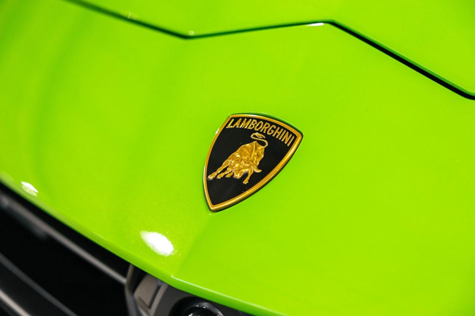 mph039_3637459654_tw_732e23b08e