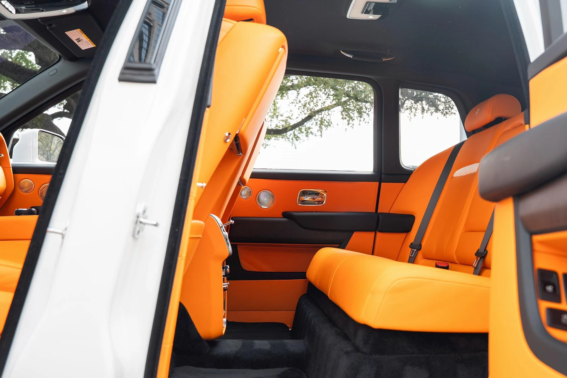 mph039_3897445297_477983144_695f55174b0ded1c3975a630_e726081dce