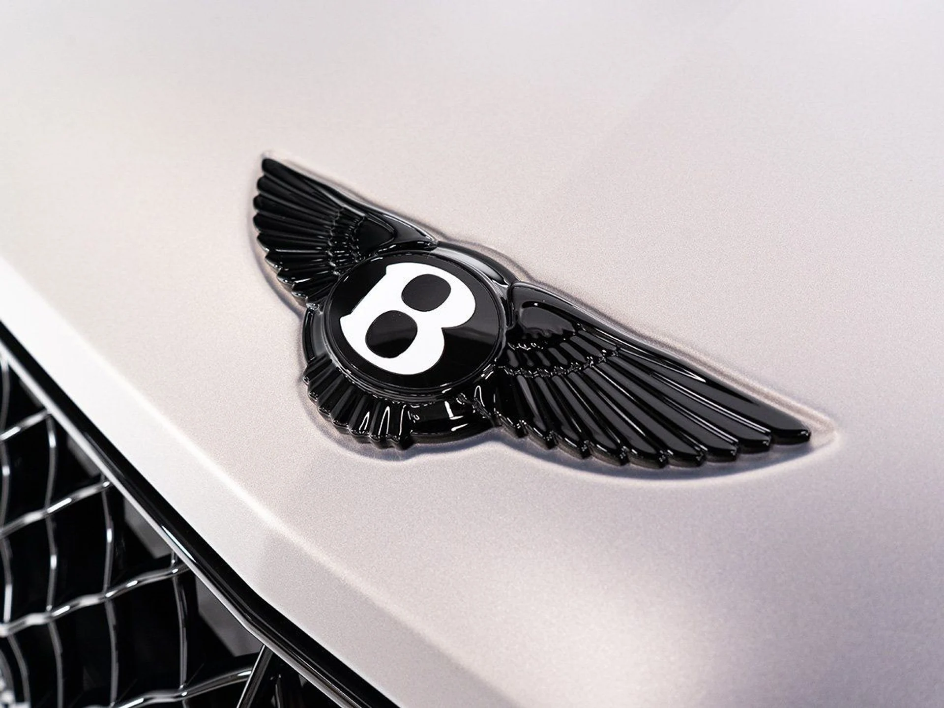 mph039_3969169044_b06a43f4c36d9d629c5cb09e0f092769_34a6e889f8