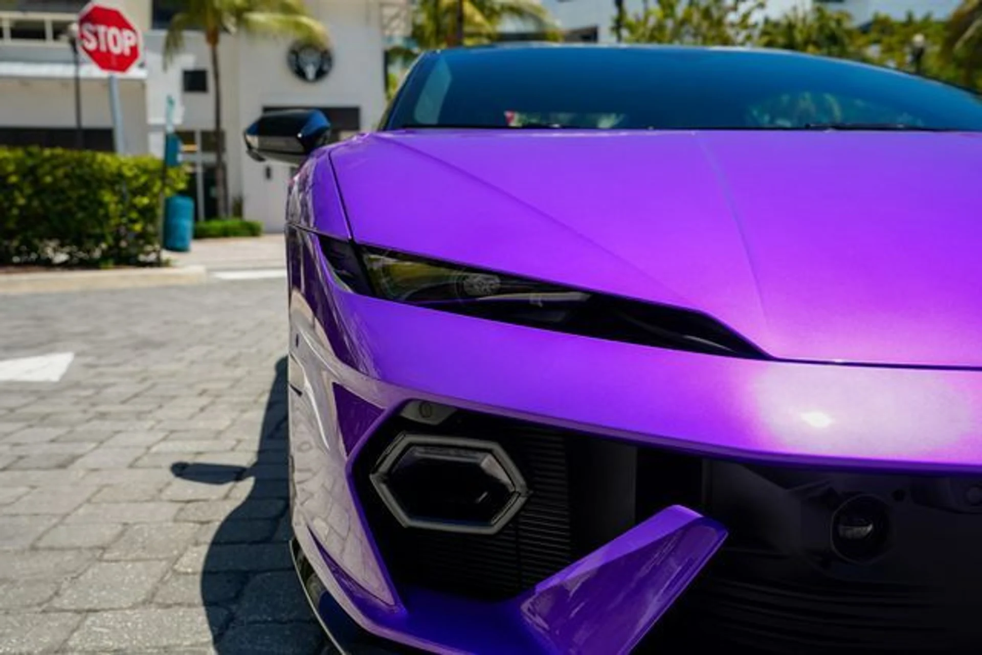 mph039_4015083959_23014494_40_665573289b