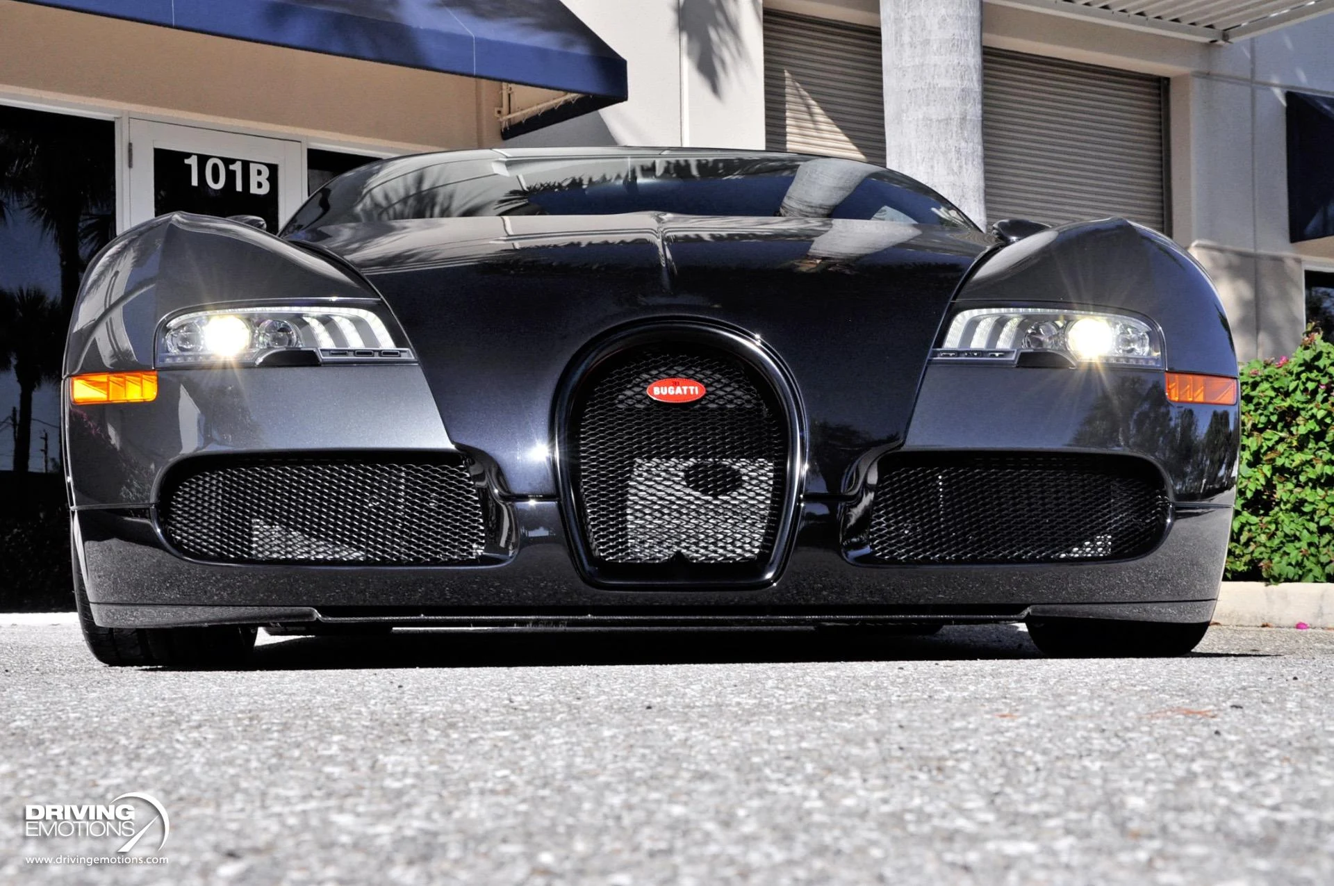 mph039_4016969005_479_p40_l_03f63d76ce