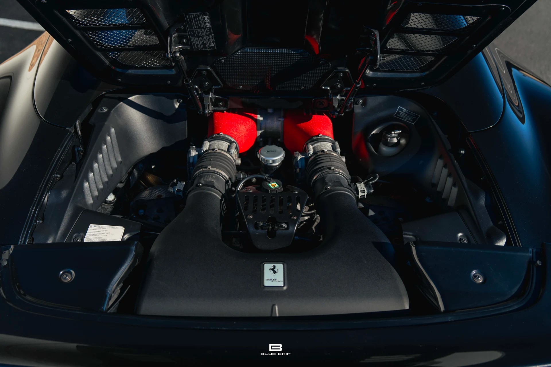 mph039_4017110872_6954366fc653860331d37024_A7409332_531fefda69