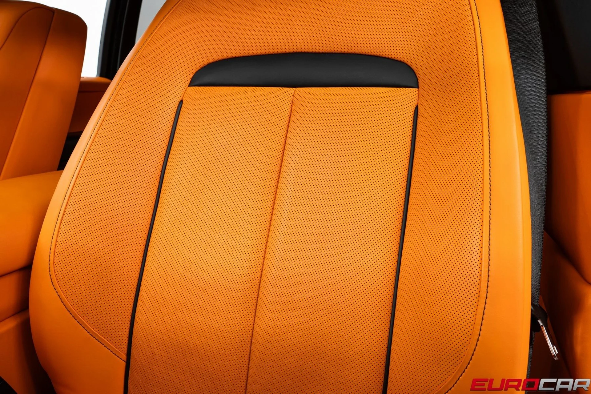 mph039_4037589094_image_40_37c603f896