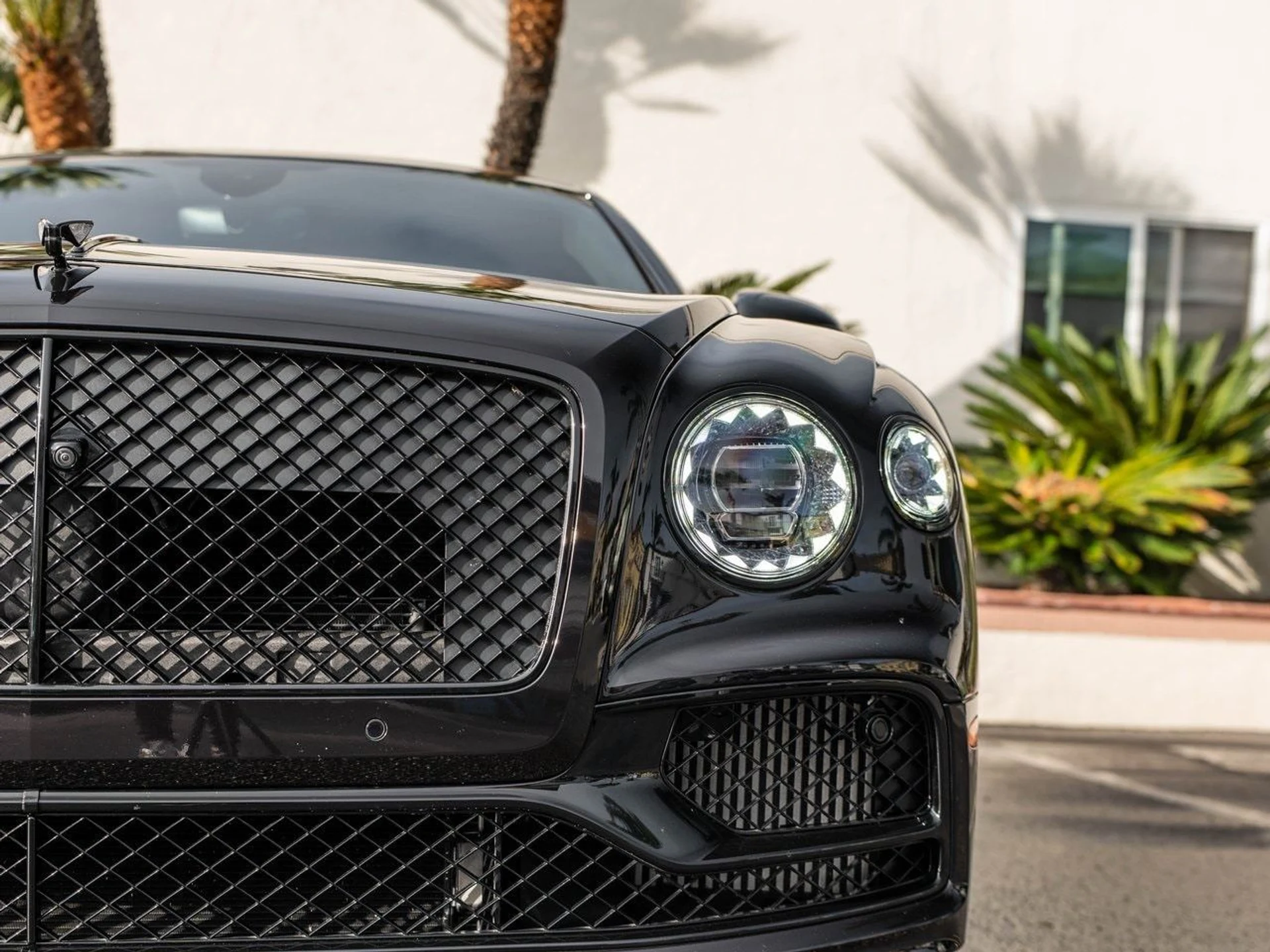 mph039_4148501590_c1fa61da2bab91afddc4e6c0d46b6084x_24dad2cf52