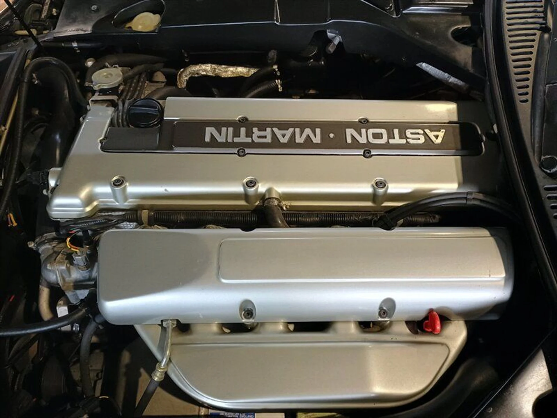 mph039_418071147_5ae5482671_800_c3349111c5