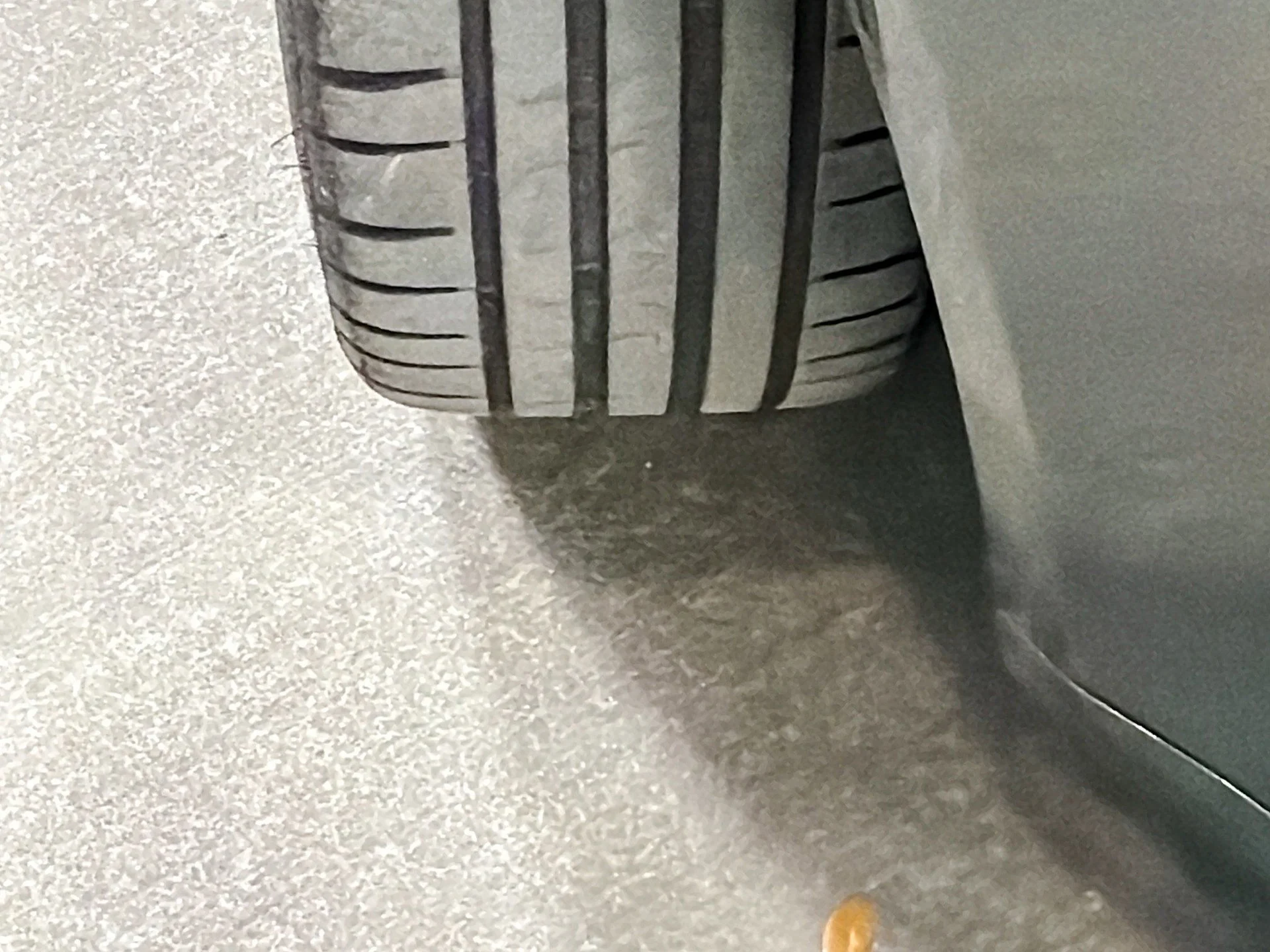 mph039_475139916_bf5237fbfd411581383a4fc26cd4fc12_61bf9739a8